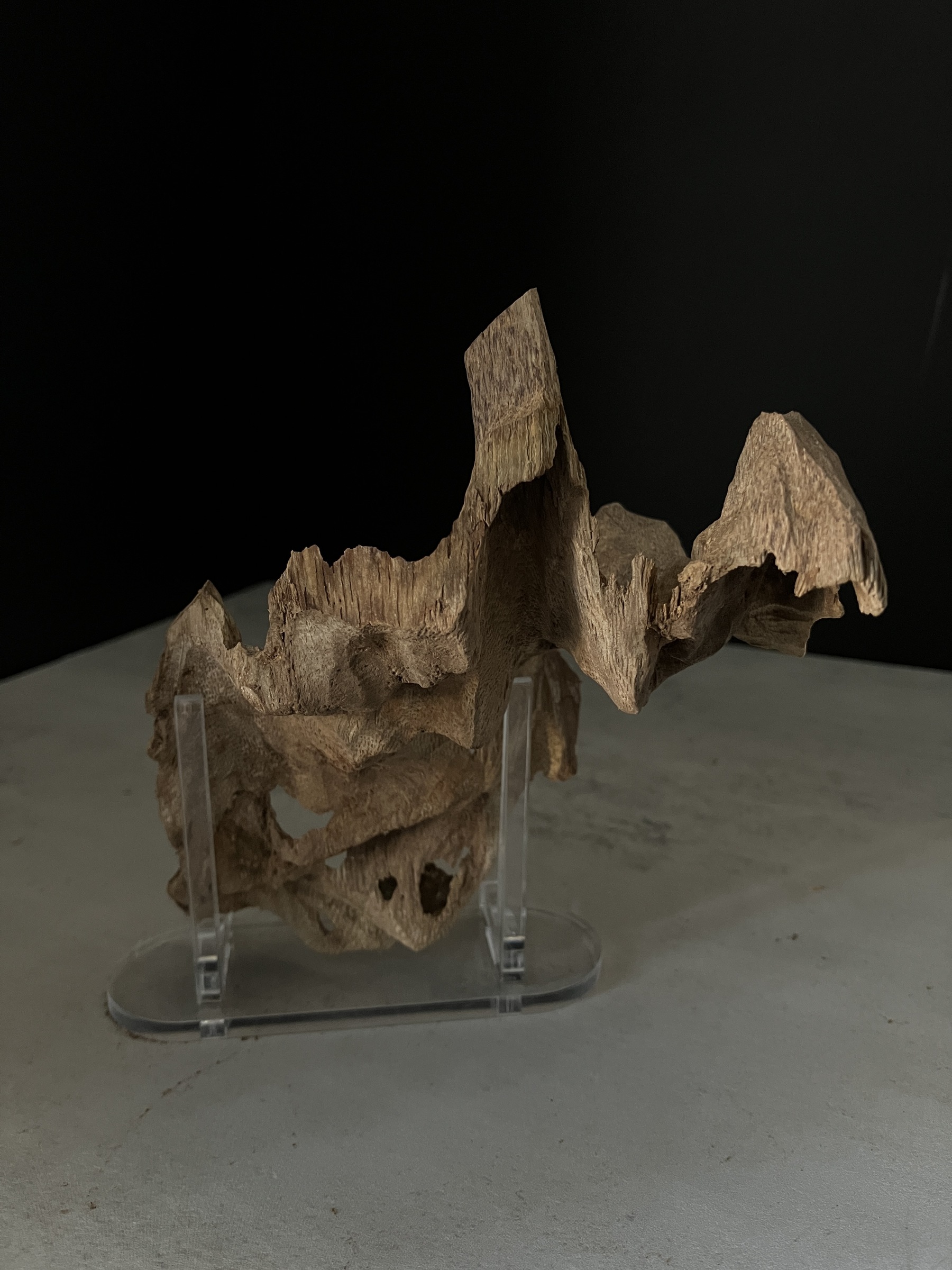 image_DA9742AC-3534-4104-9C72-72B5FFF7D6DB_1770102791