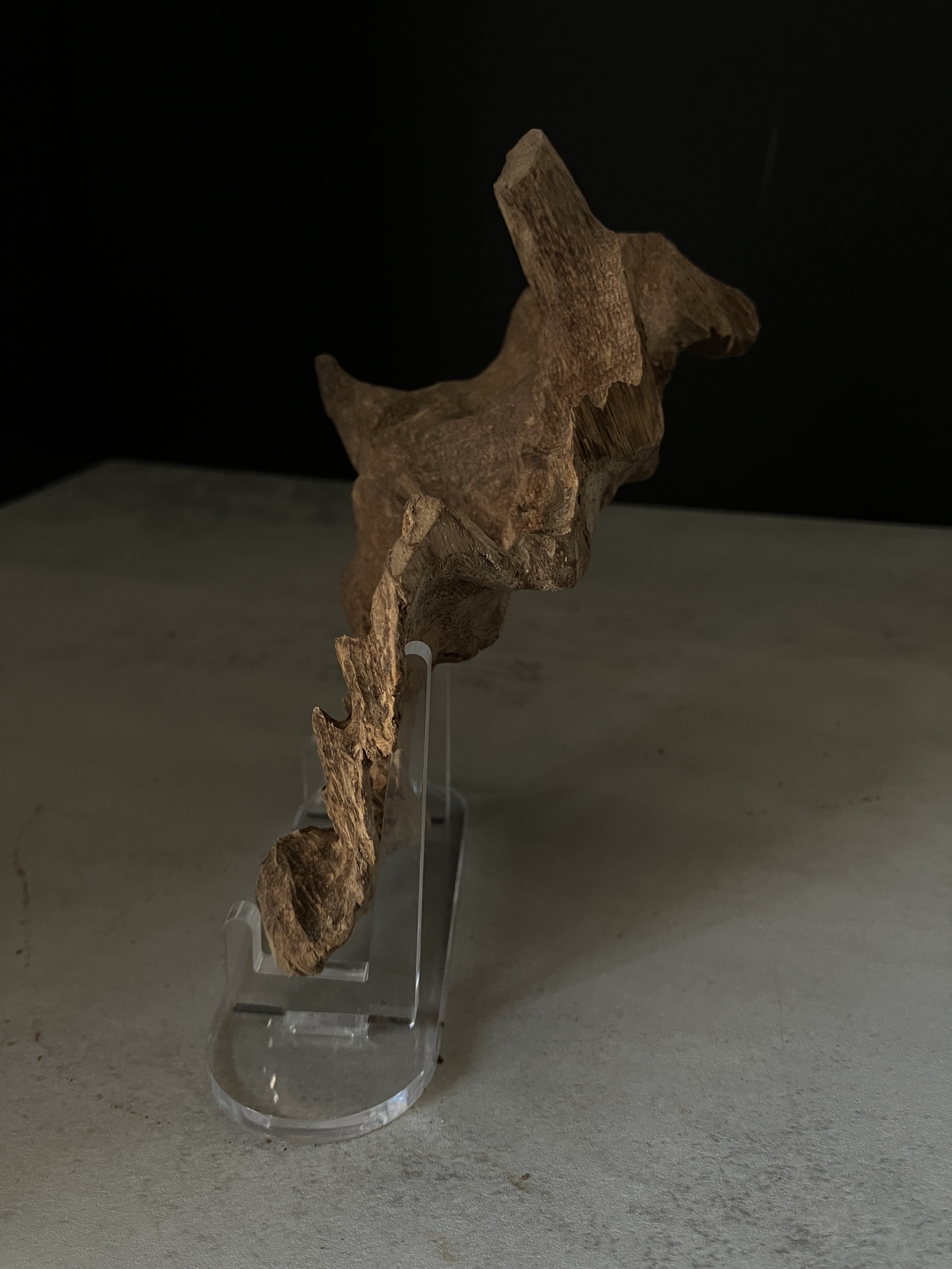 image_E64B6B04-94CE-4BEA-BBFD-0231C8D50B73_1770102791