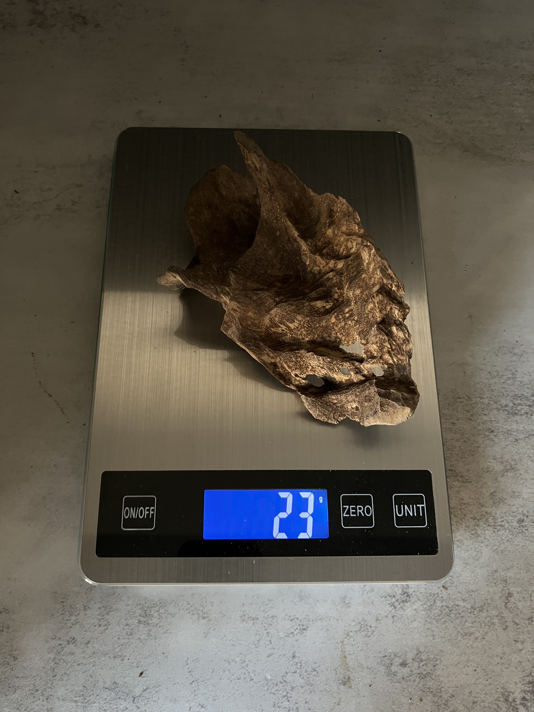 image_BD2F64AF-0E96-4CD8-A792-BF28F6D136F0_1770102791