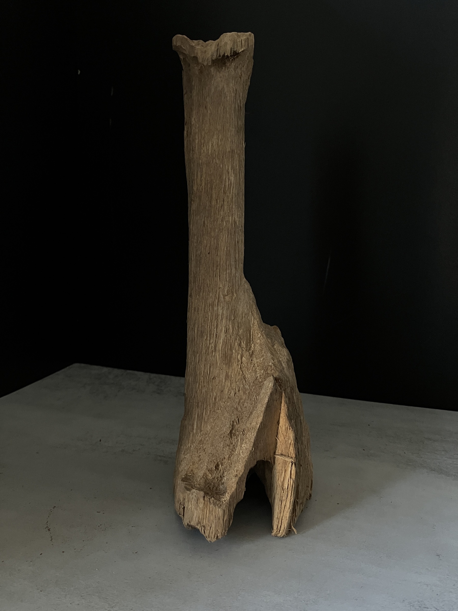 image_304C9399-EE65-4B4D-800C-2313C46A1463_1770102896