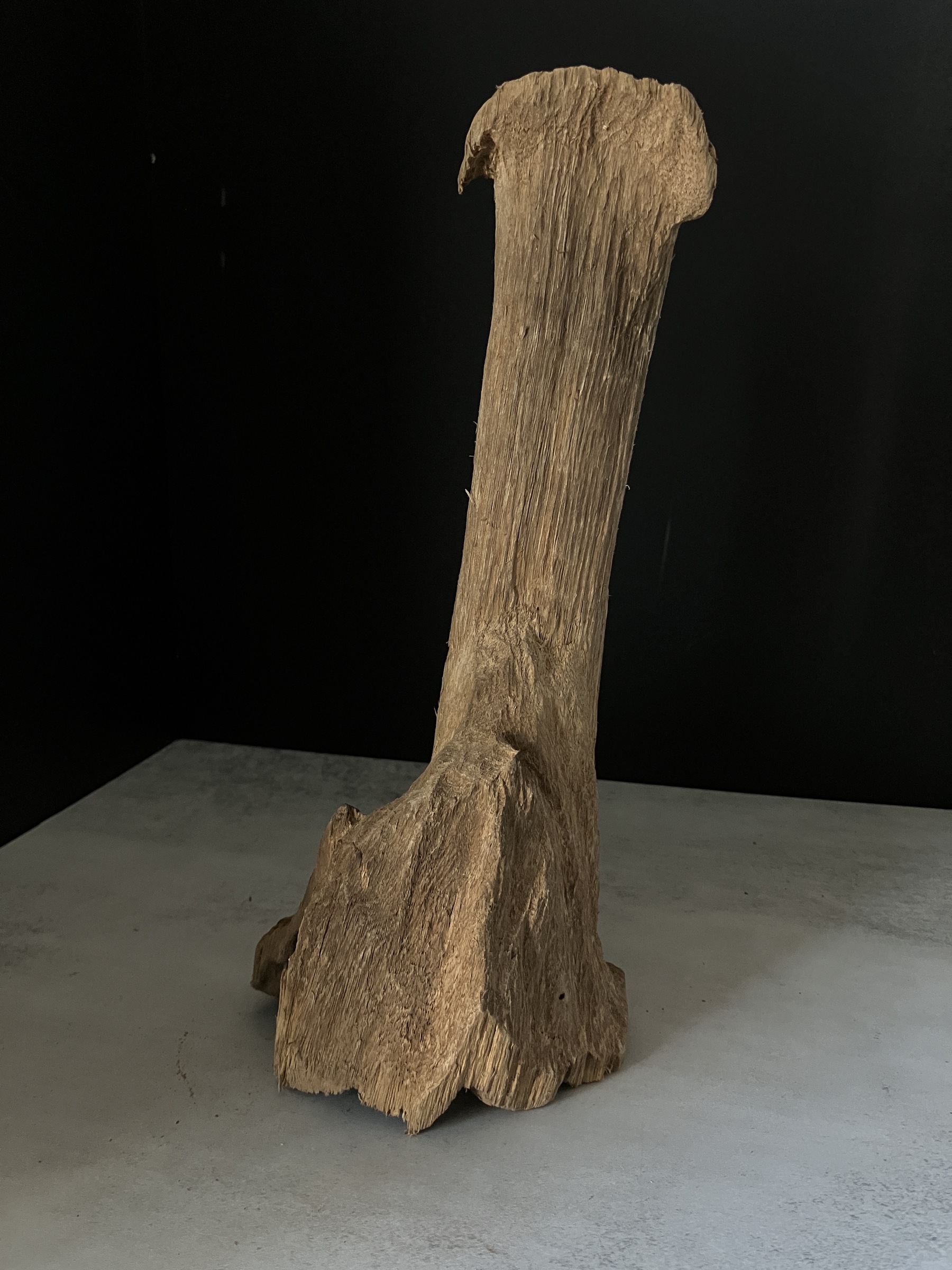 image_91A6F83C-A119-4792-9198-E5EBCE46D7D4_1770102896