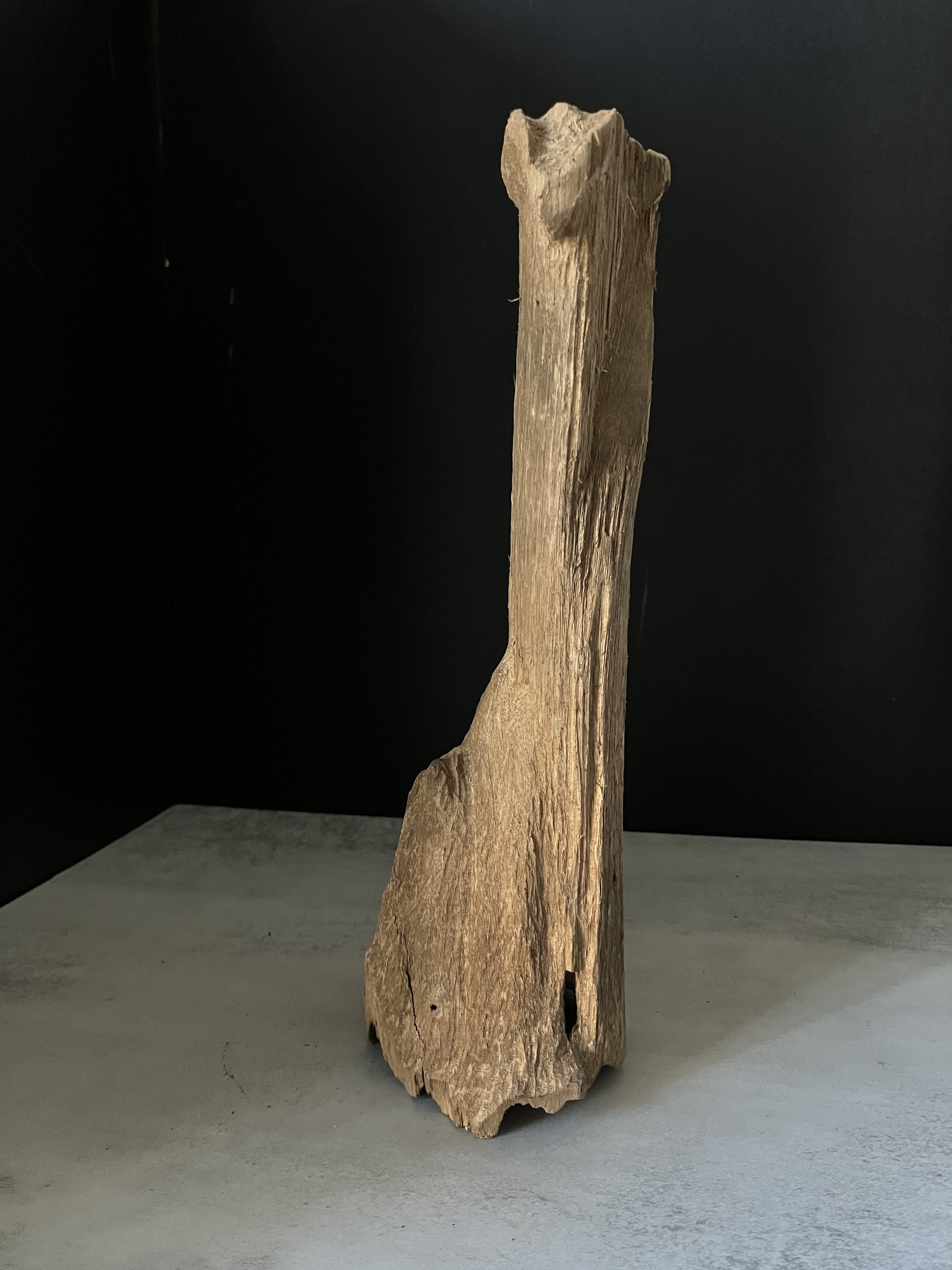 image_37A83E1B-2A47-4DA4-B432-C2FDFC9A1FE1_1770102896