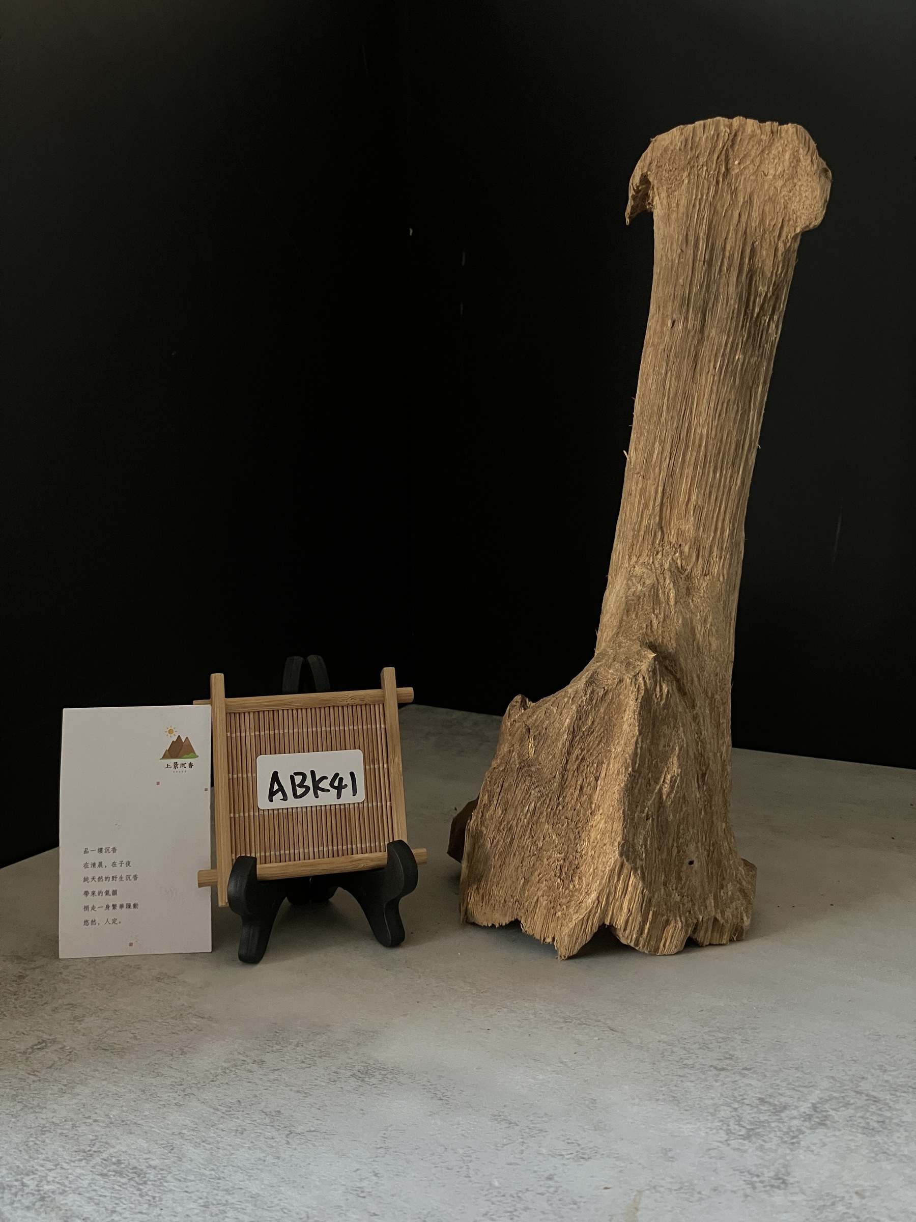 image_93BF8244-973A-4D94-8FB9-B73995073B73_1770102896