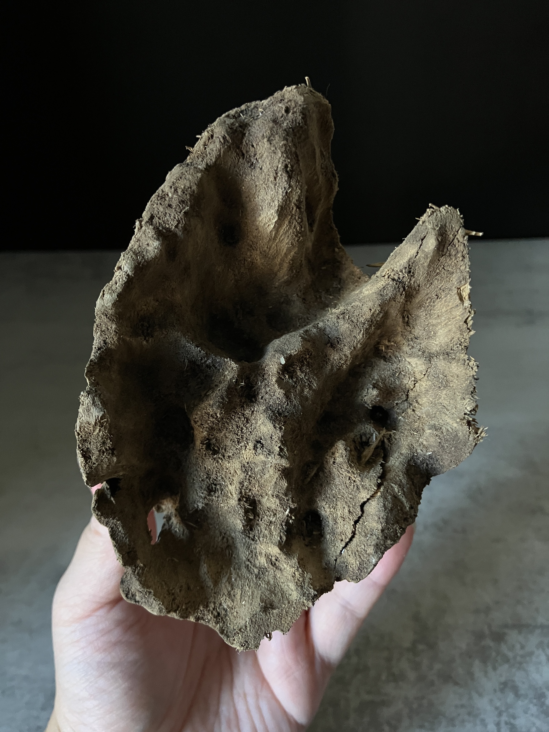 image_CBB57A61-1078-4D6D-A645-8FE8B05D056B_1770102896