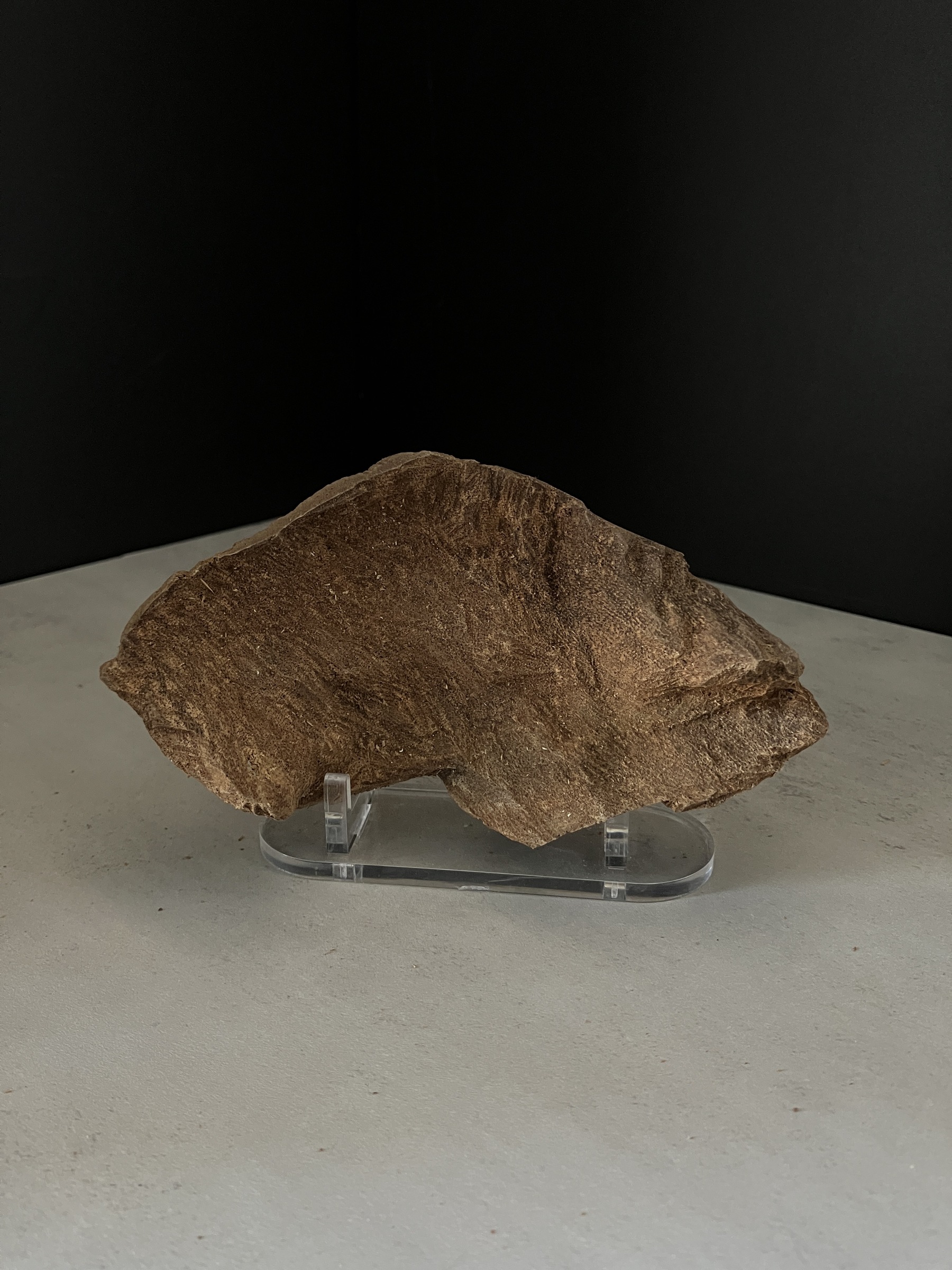 image_3EF19749-C32F-461A-975B-910B3F6EE0A4_1770102983