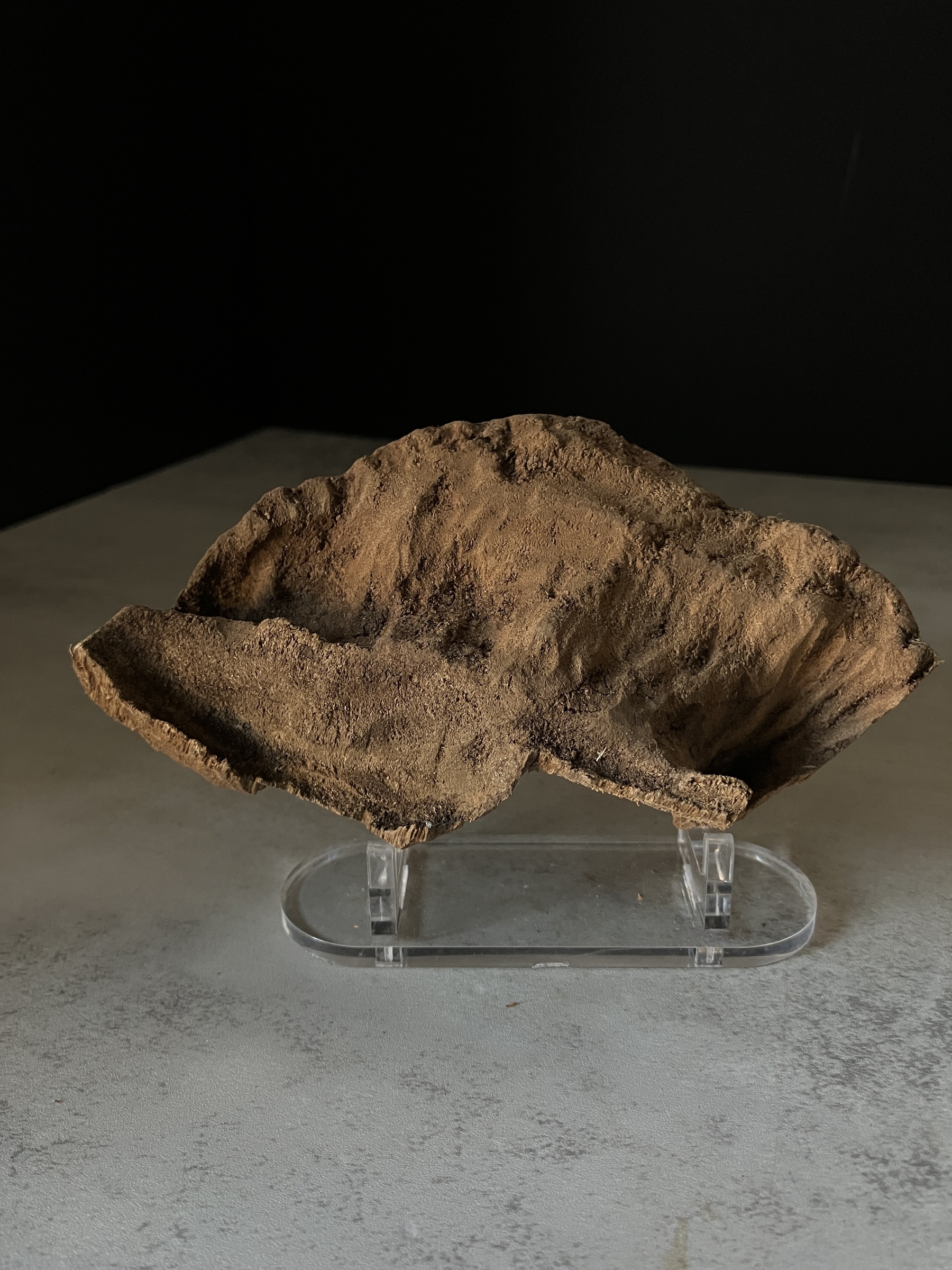 image_123154DE-9984-469C-A74F-6704255215CF_1770102983