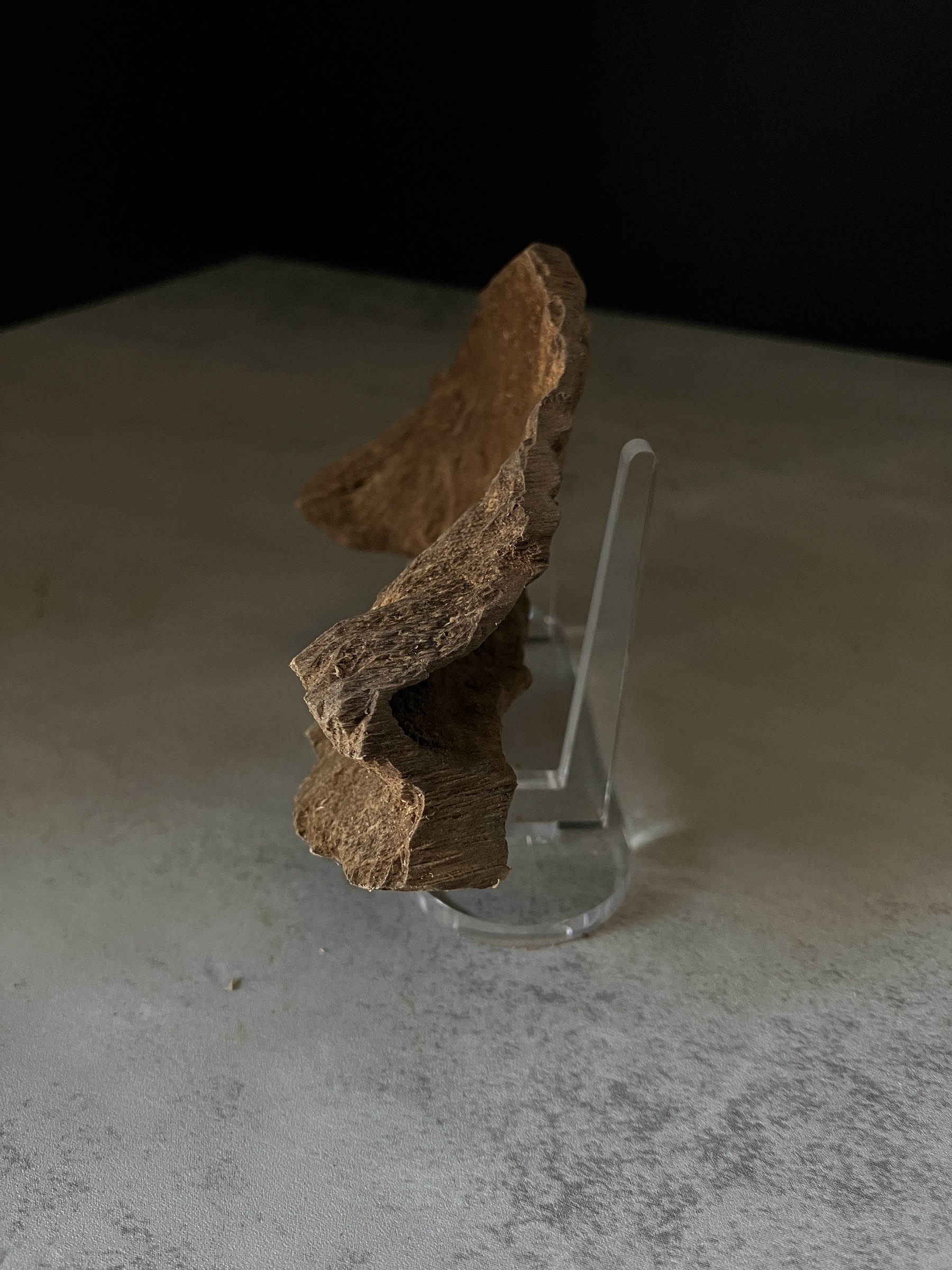 image_48CA4922-C4AD-47B8-8F26-4E77A97C41C9_1770102983