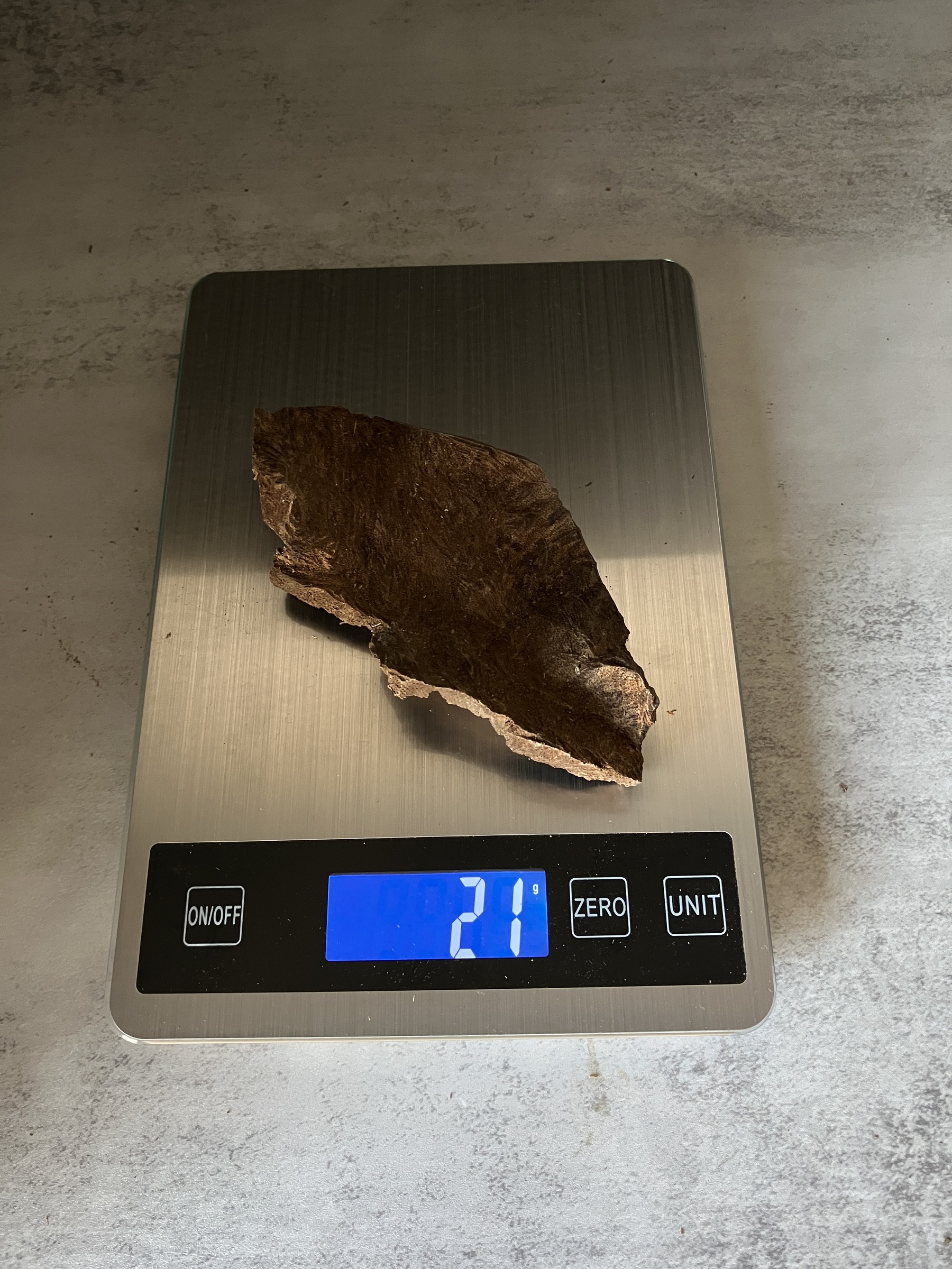 image_9D48E1D5-DC12-4081-9B98-C7C6B24B1152_1770102983