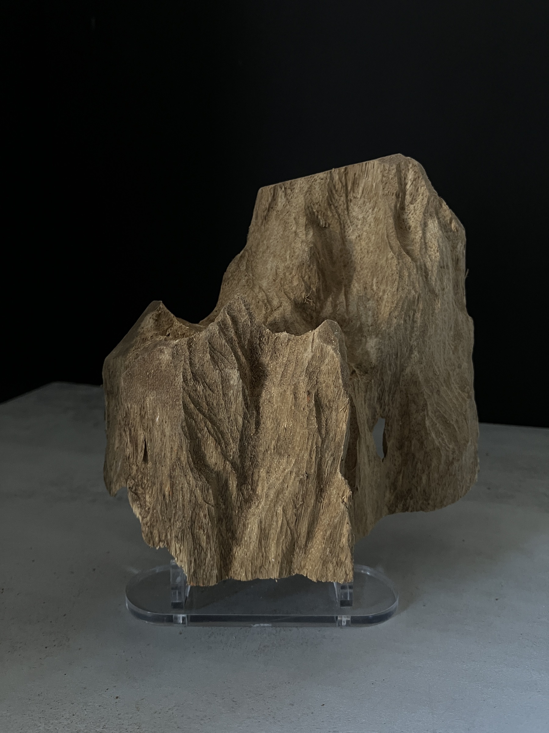 image_71EE57E8-C707-496F-9EAF-5E47D16CA57E_1770103112