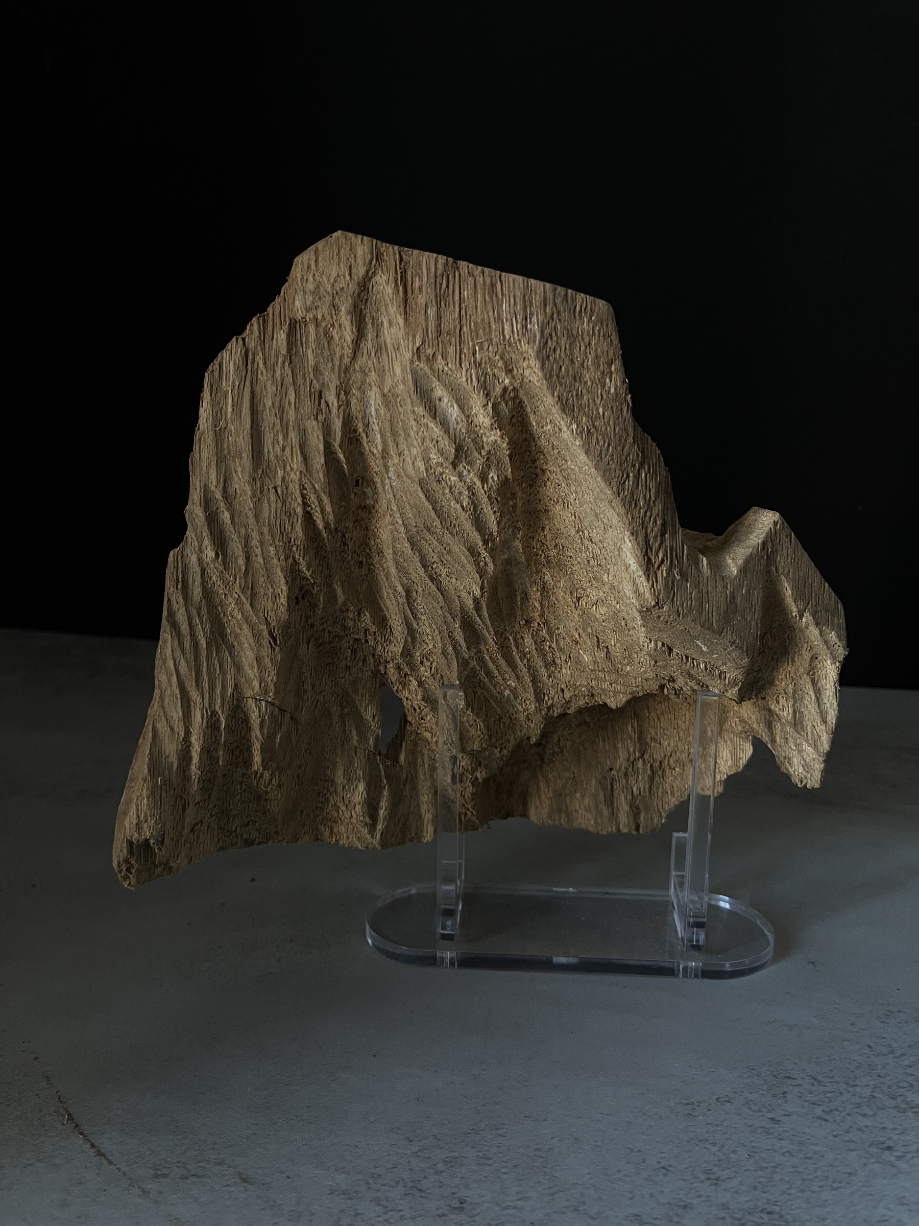 image_89085143-42F9-4AC6-ADCA-A5220069C4C5_1770103112