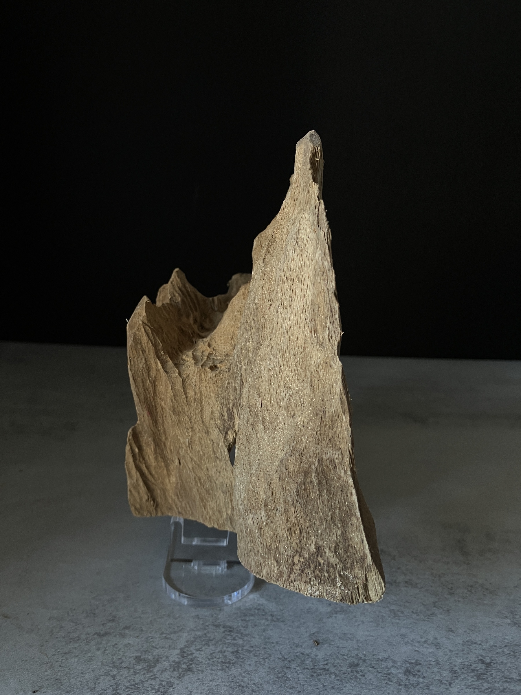 image_E3BED8BA-0C93-4AEC-B1E0-5CFB935F1C5A_1770103112