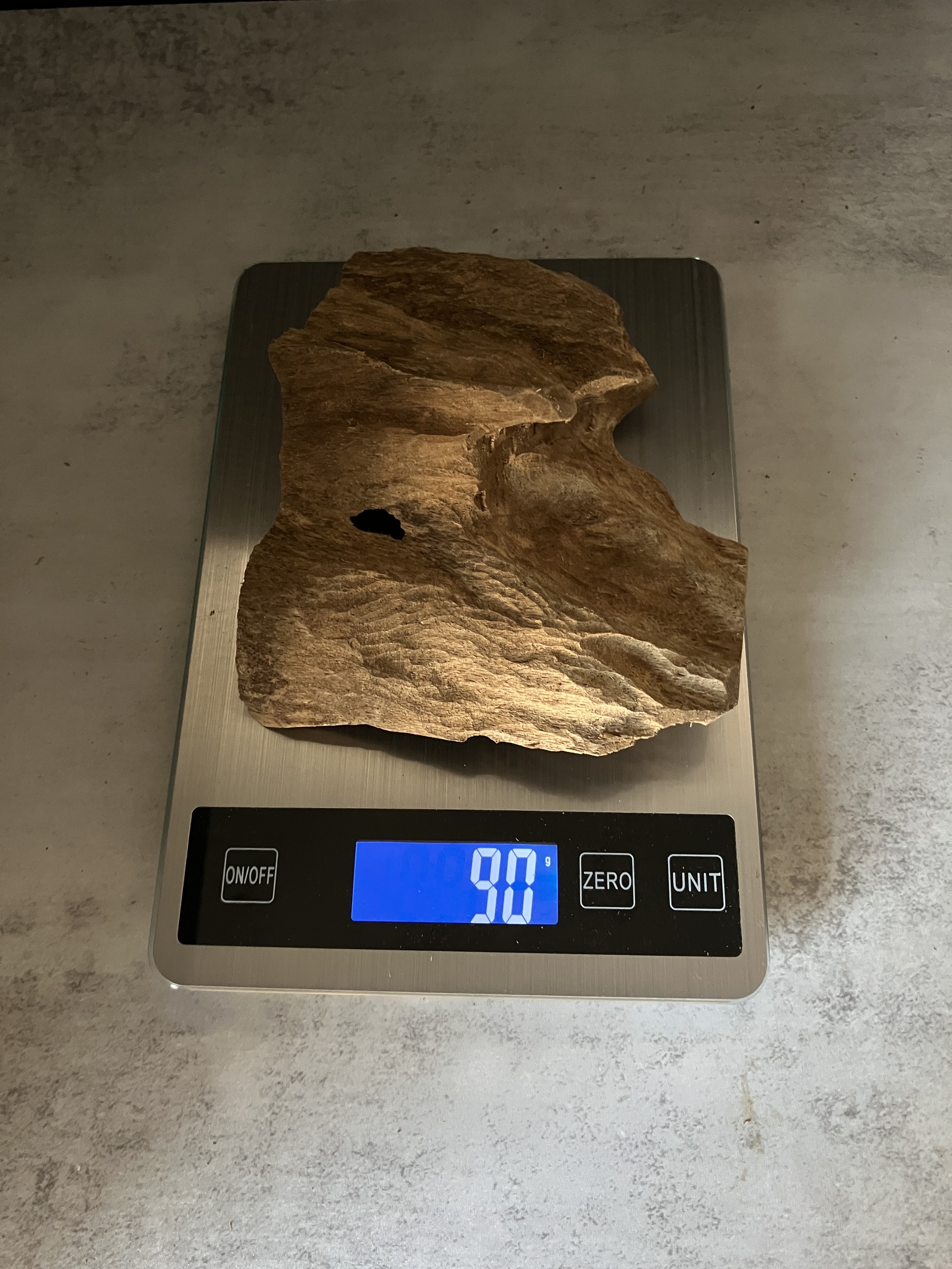 image_2A70418A-0D34-482E-8AB3-E33CEE7A39A8_1770103112