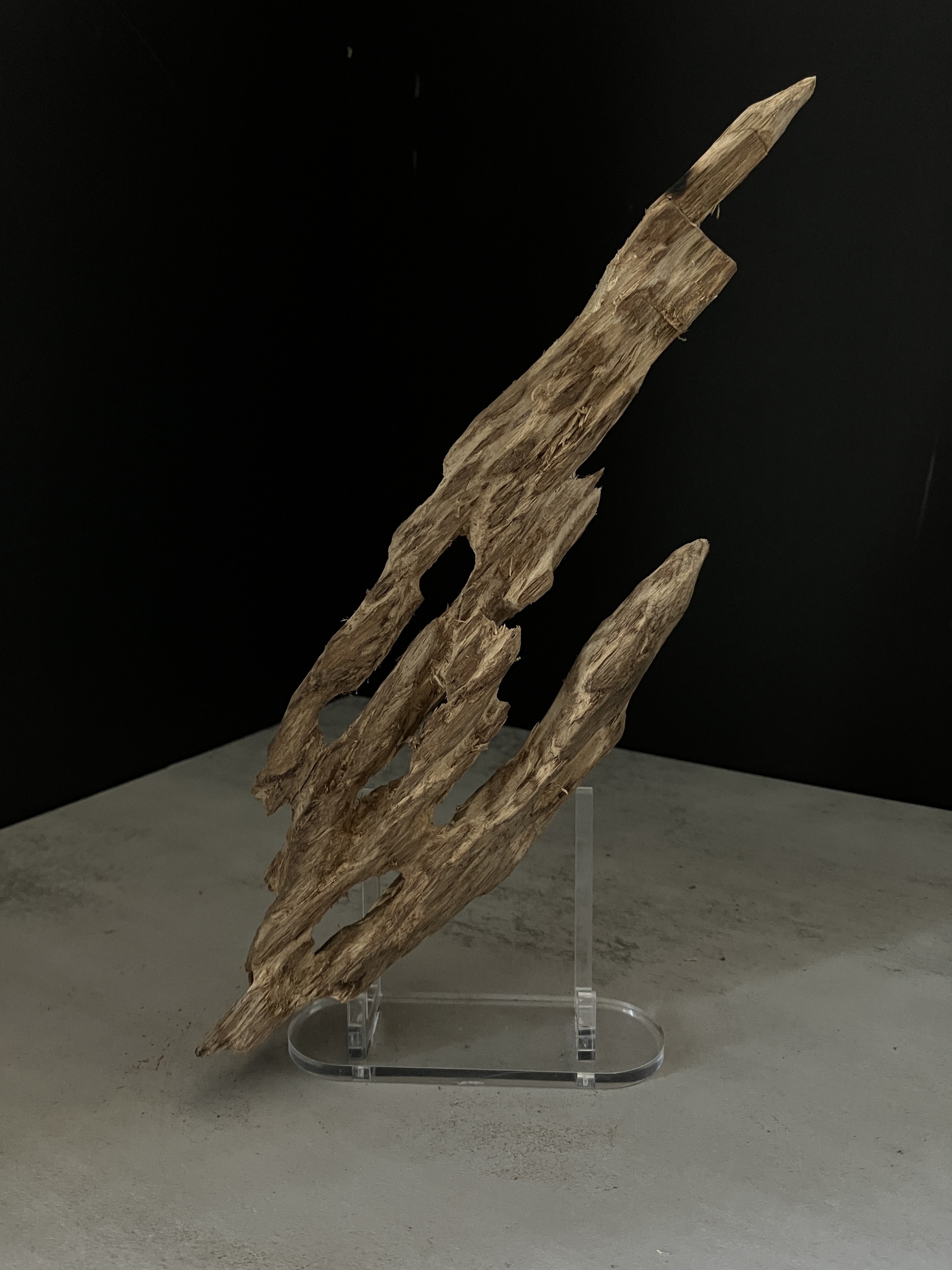 image_CA9E374E-4809-4F32-AFCF-3C6407622A5A_1770103230