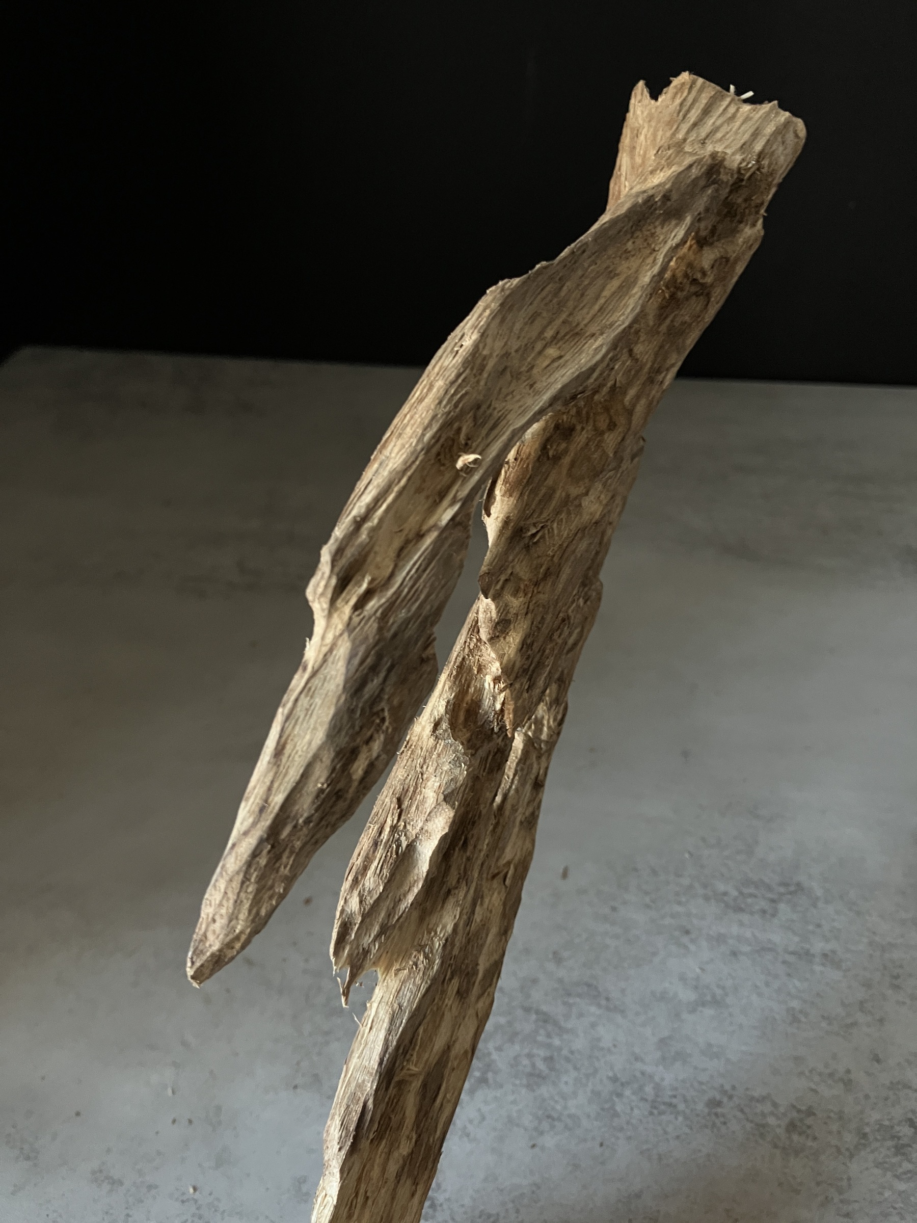 image_47391178-F171-42C7-B021-19A40087010E_1770103230