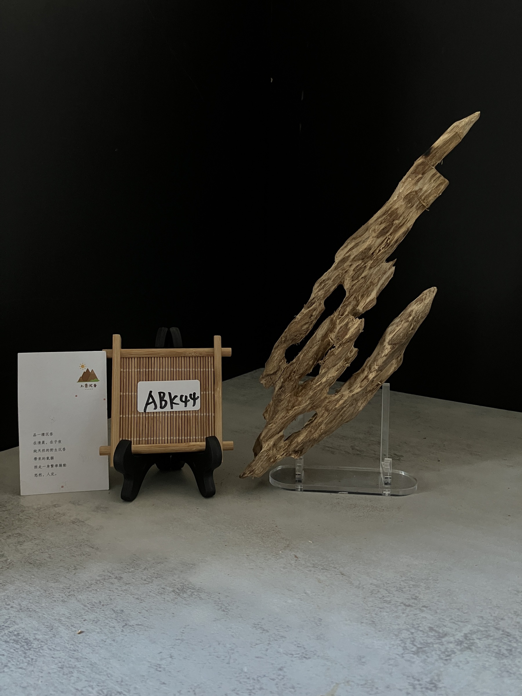 image_4F705107-F1D9-482E-9EF2-39E4CF8D25E5_1770103230