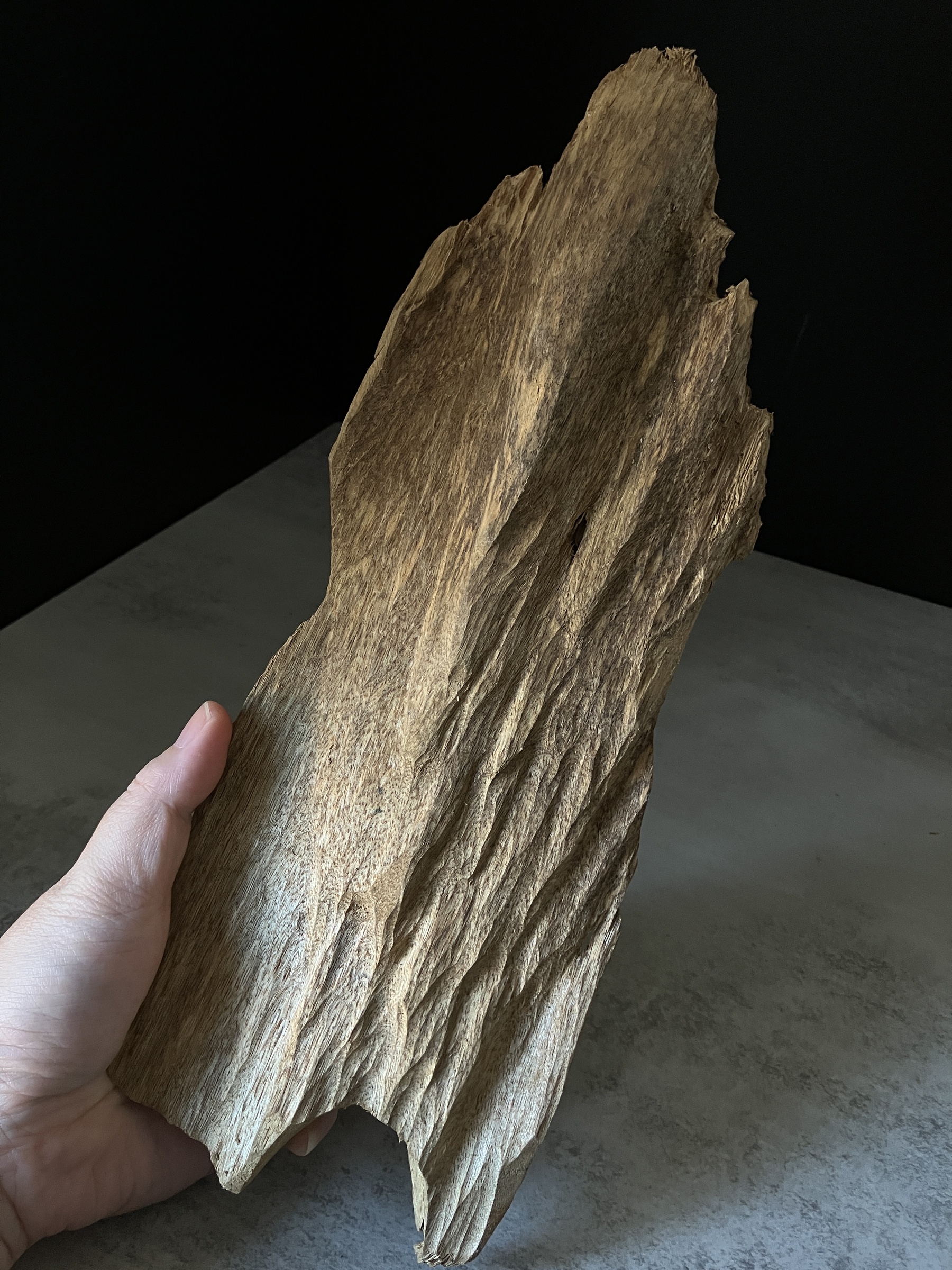 image_A06288D9-75F5-410E-BDAC-B8B9AFC9130D_1770103376