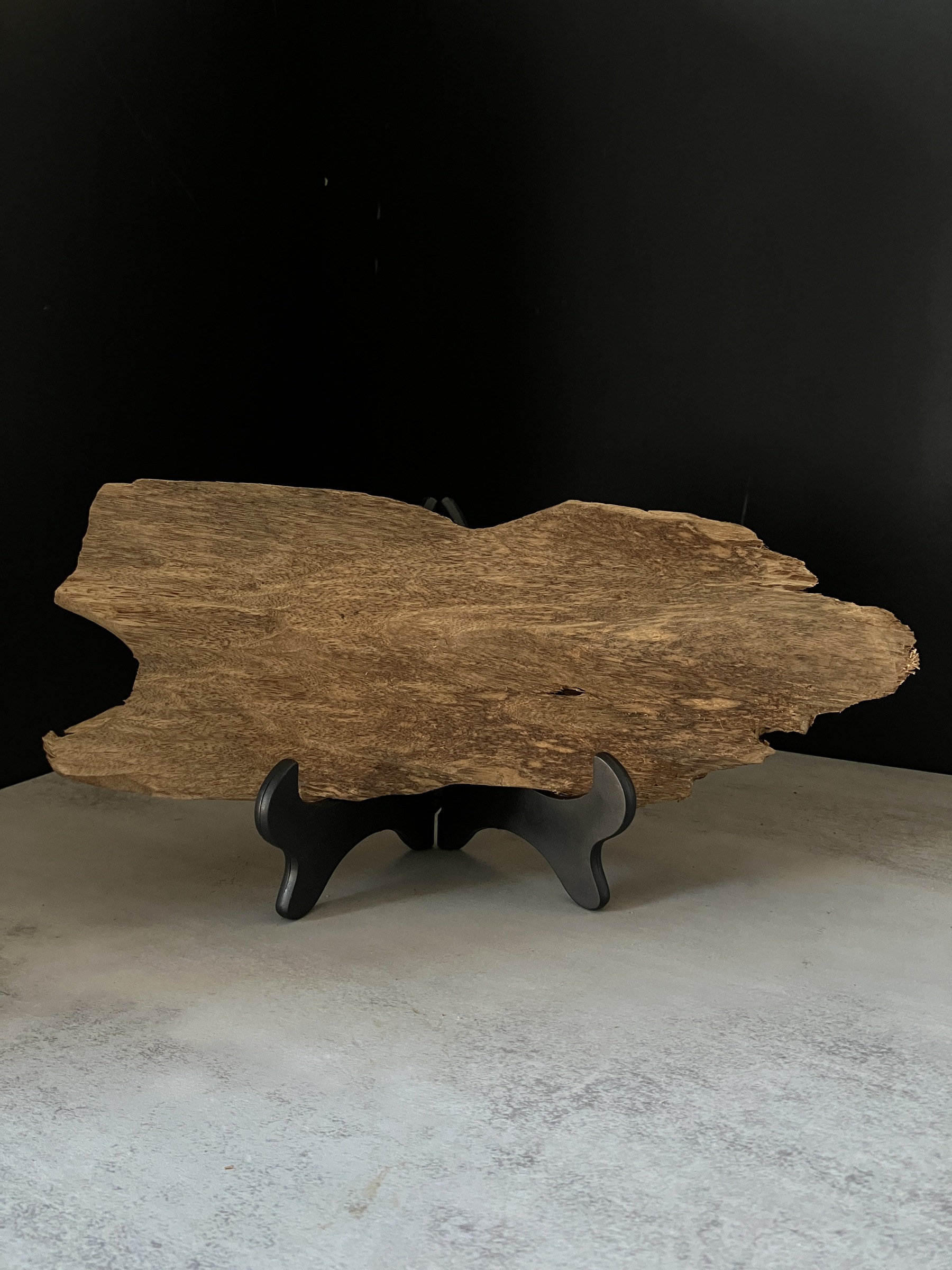 image_837FABEC-82DE-4618-A61B-A3489E4E4625_1770103376