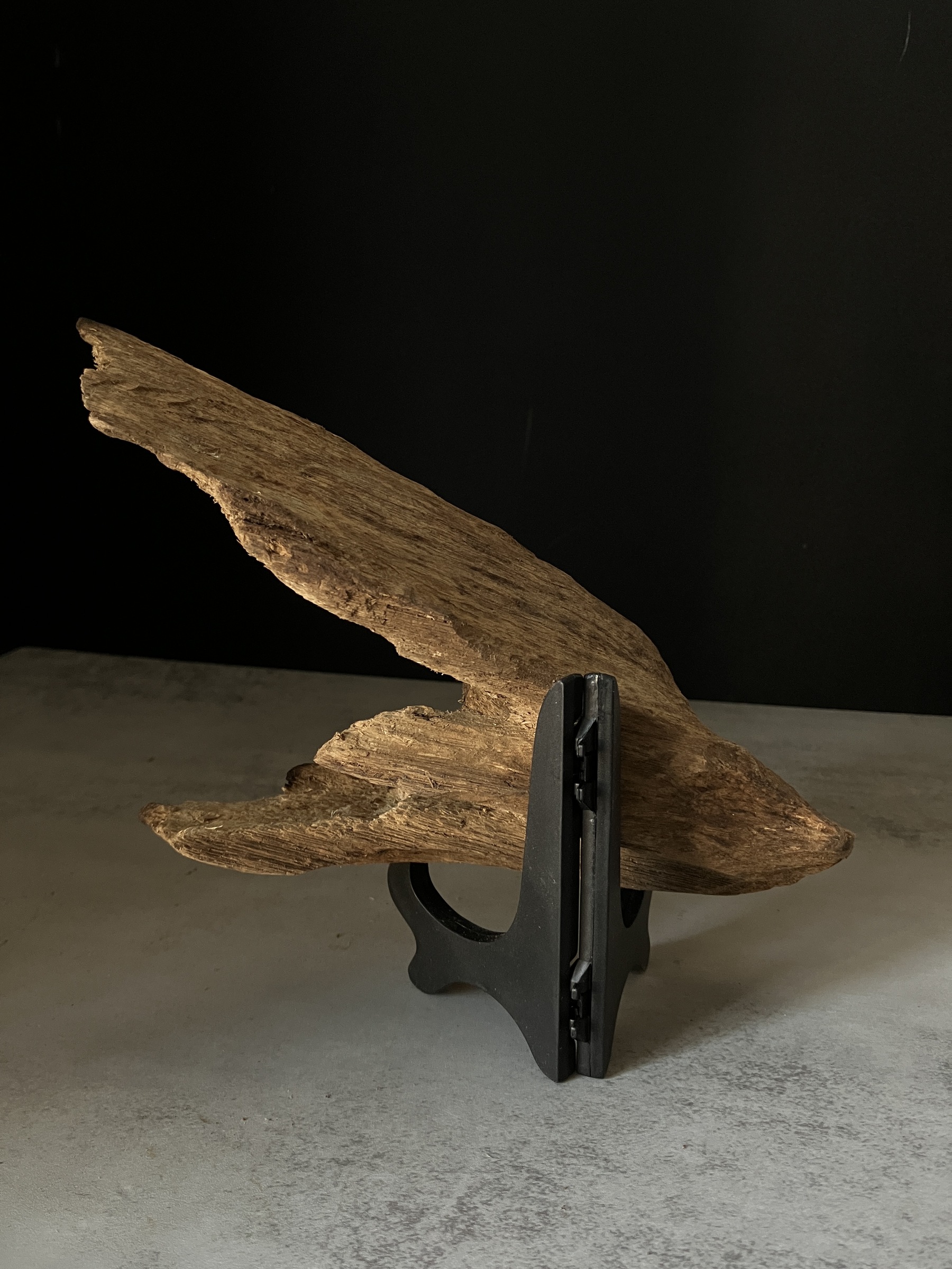 image_0266A8FA-0464-4C03-B9DC-756FC0EA5770_1770103550