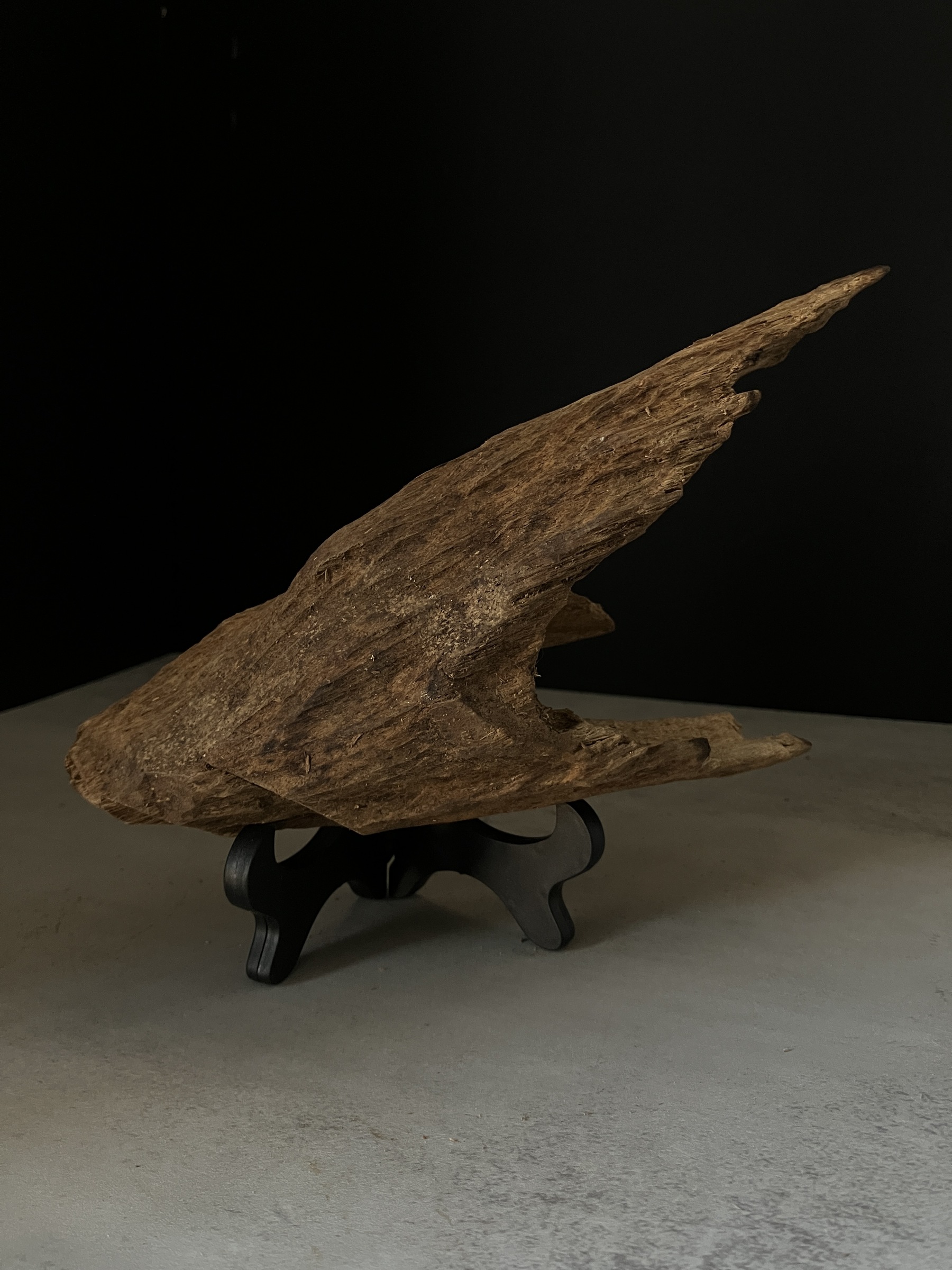 image_490A0891-FA10-4B18-AE59-60F9B3A8AE1D_1770103550