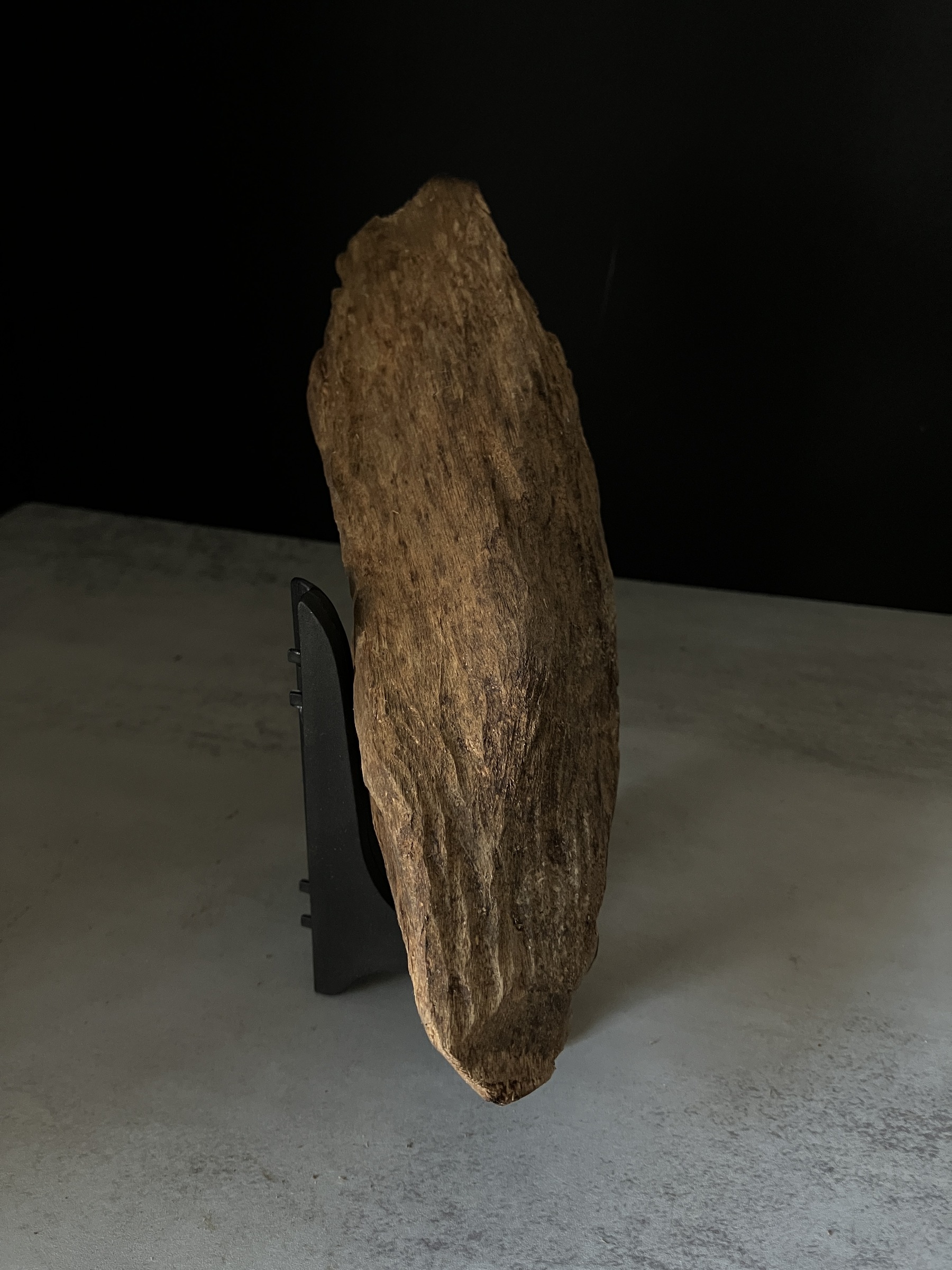 image_D9262DA0-016F-4B3D-A357-EB6D6AE8D3E6_1770103550