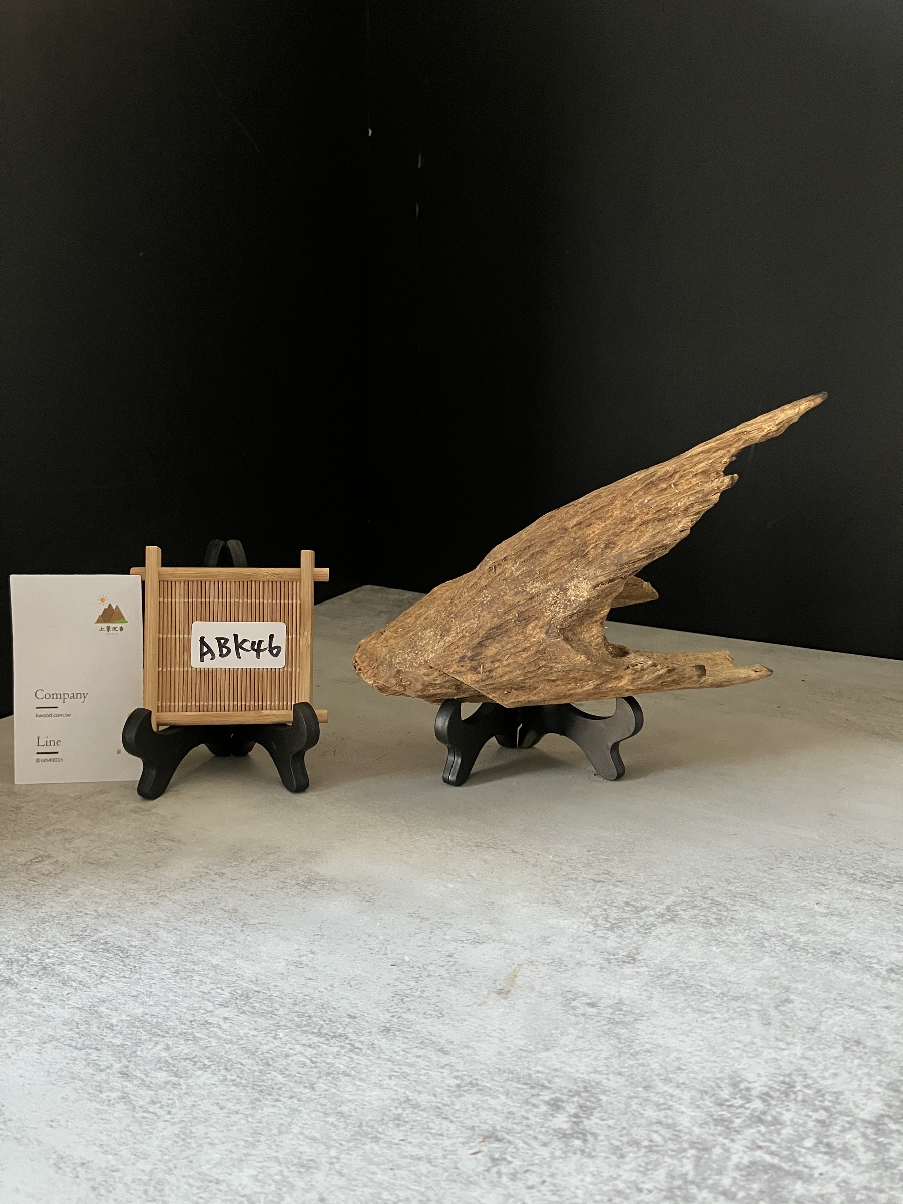 image_797DA459-C4FA-4DBE-B94D-F5FB69410BD6_1770103550