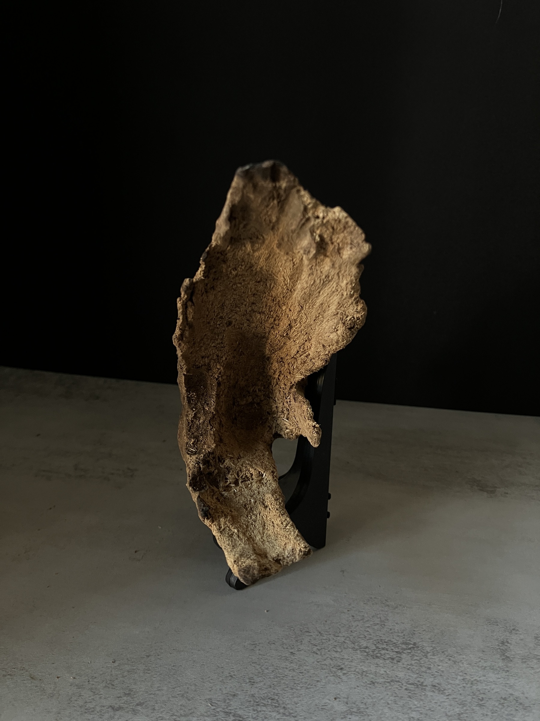 image_1A66DC1E-C354-4949-9661-258C7189244A_1770103550