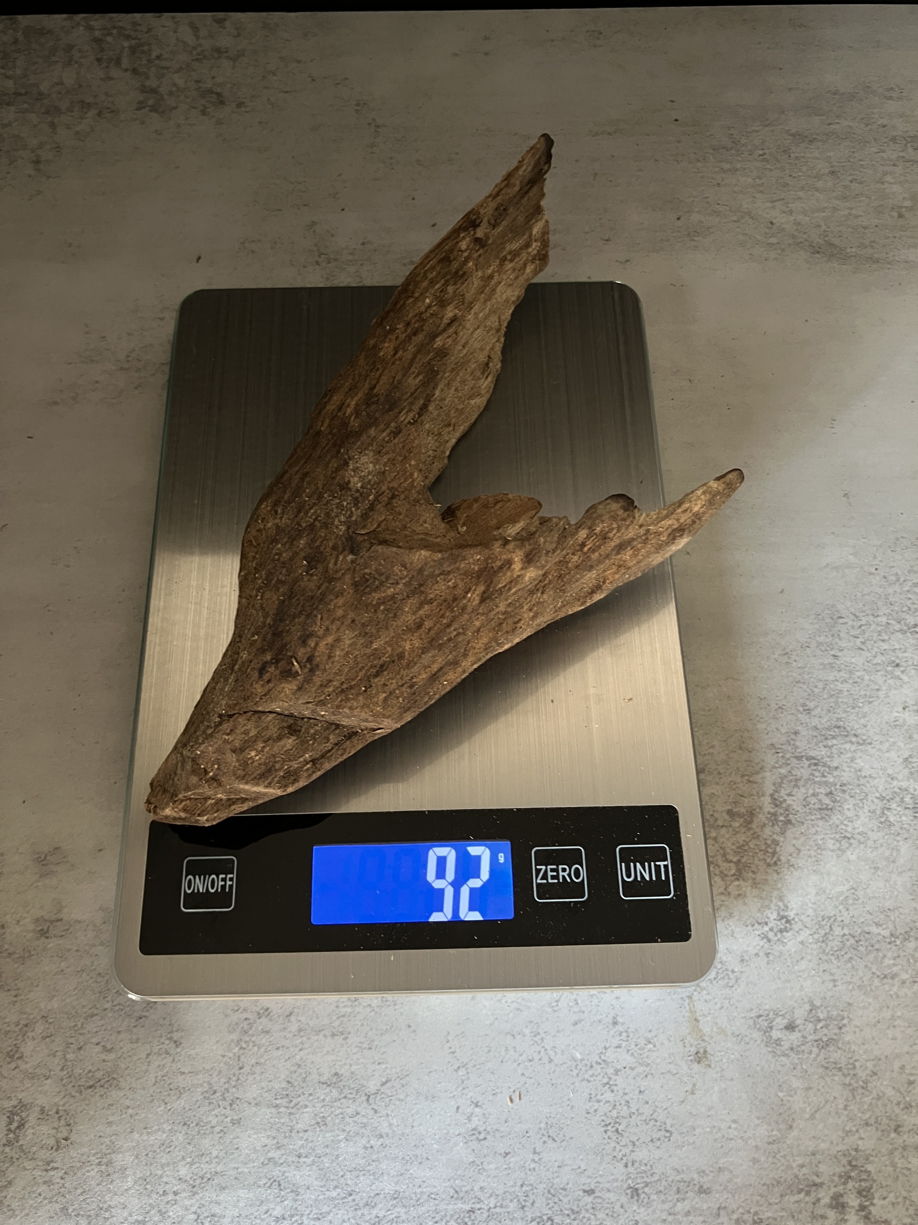 image_B618E0B5-F9B4-4F82-9603-63FEDD540FF4_1770103550