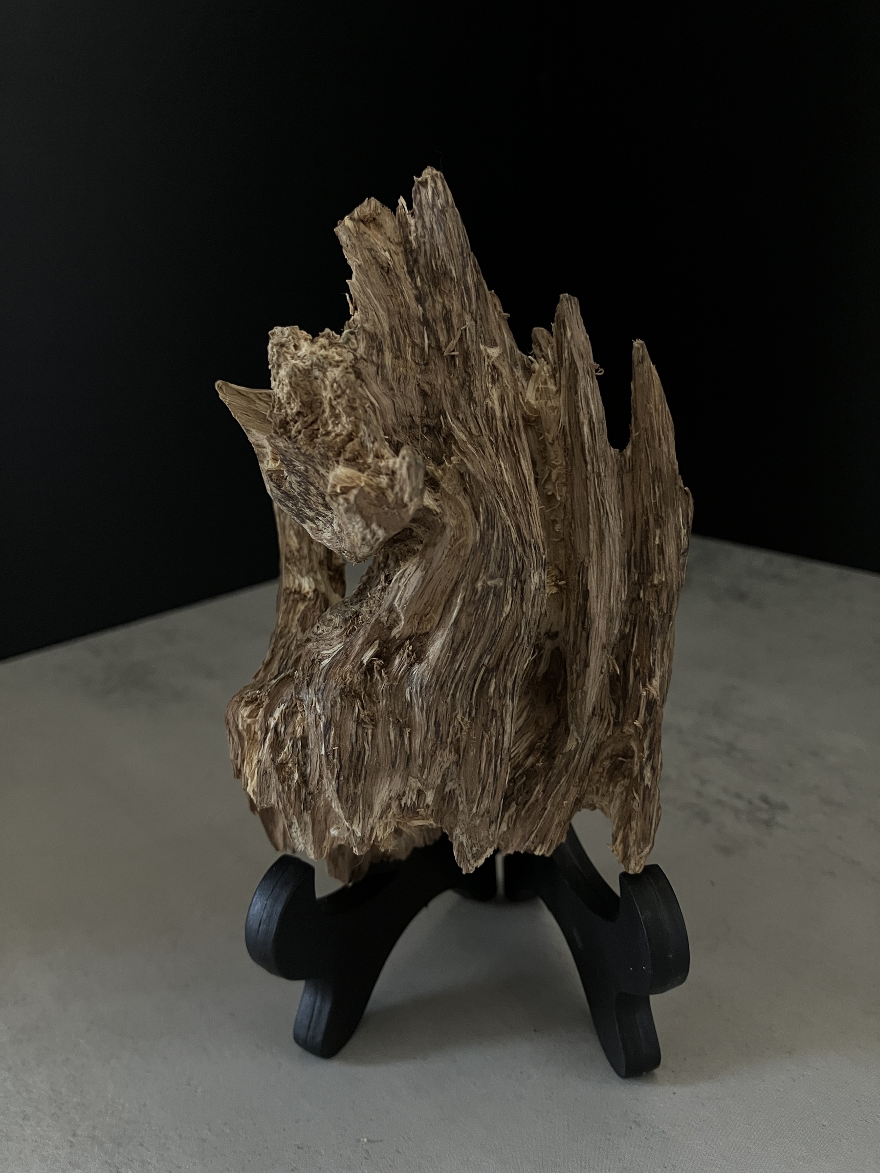 image_E40D4450-0705-4ED8-B565-325EB10A9A34_1770103639