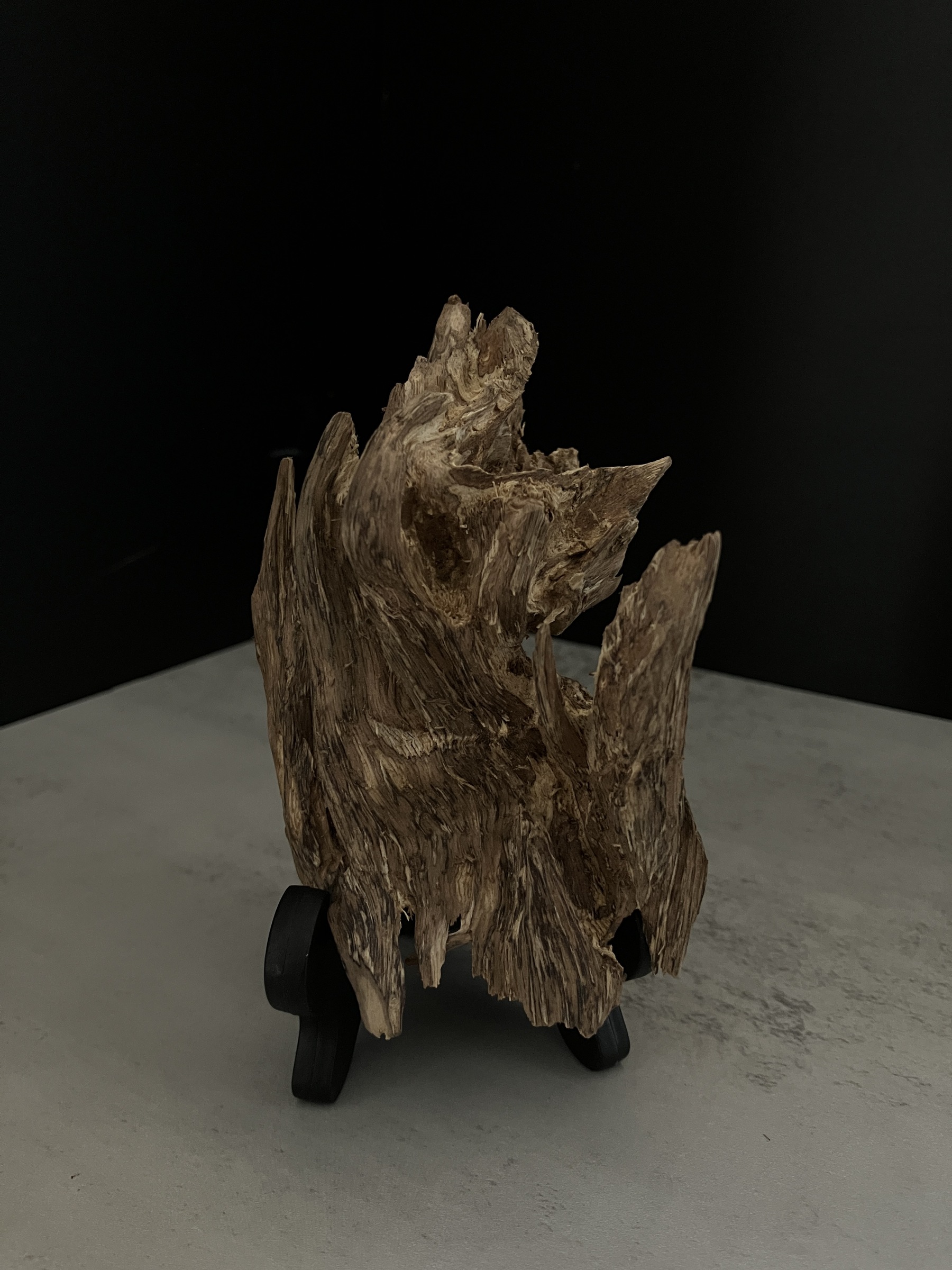 image_60A5A37F-6DCD-4B93-91DA-E9EC9A167433_1770103639