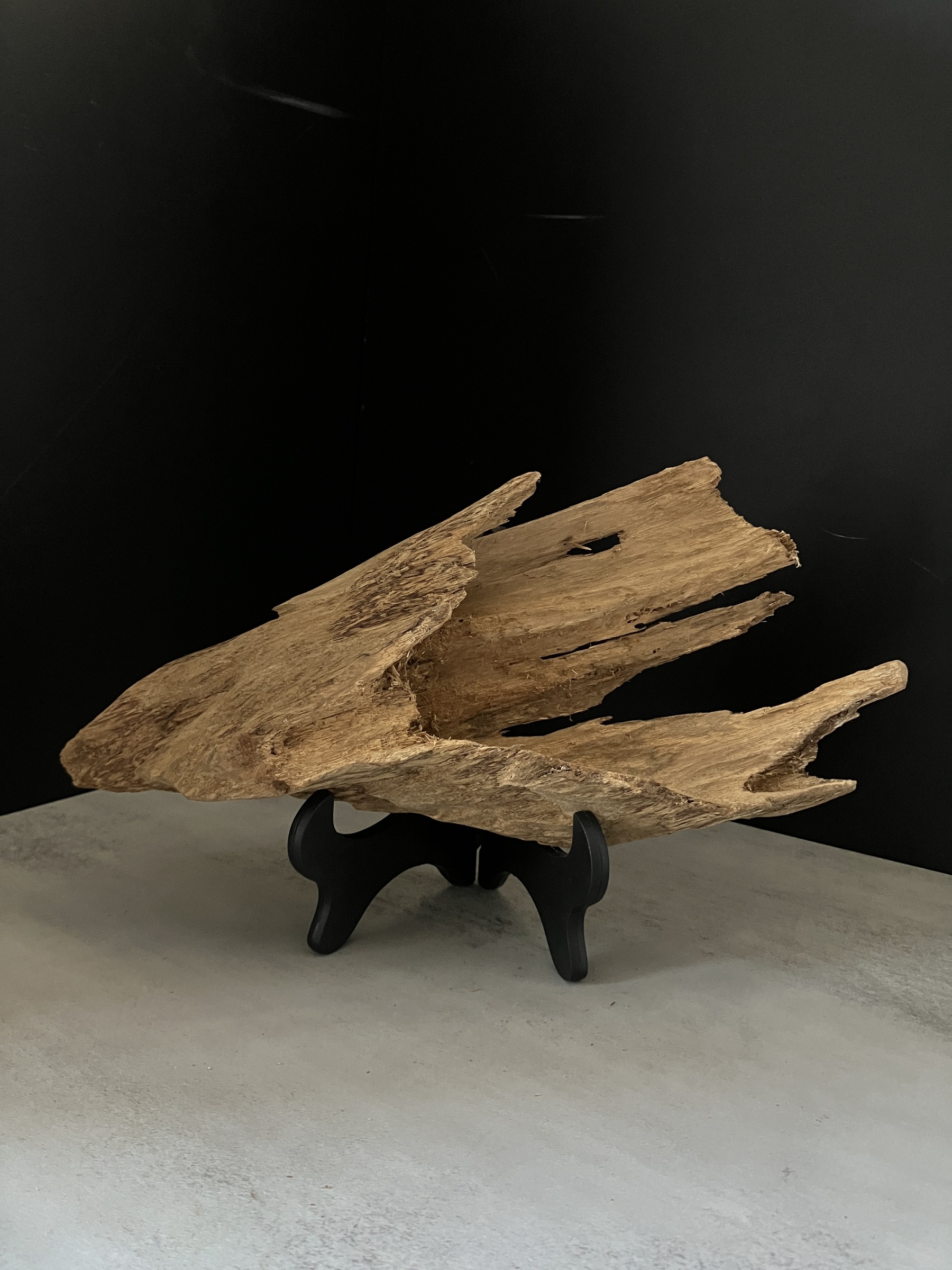 image_9F00BB72-3423-439E-B9E8-98B1F5D0AD77_1770103732