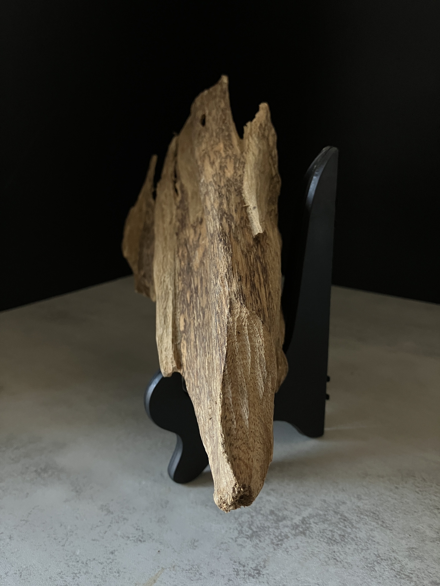 image_7429C9F5-7C59-46D4-8319-72D5385441C2_1770103732