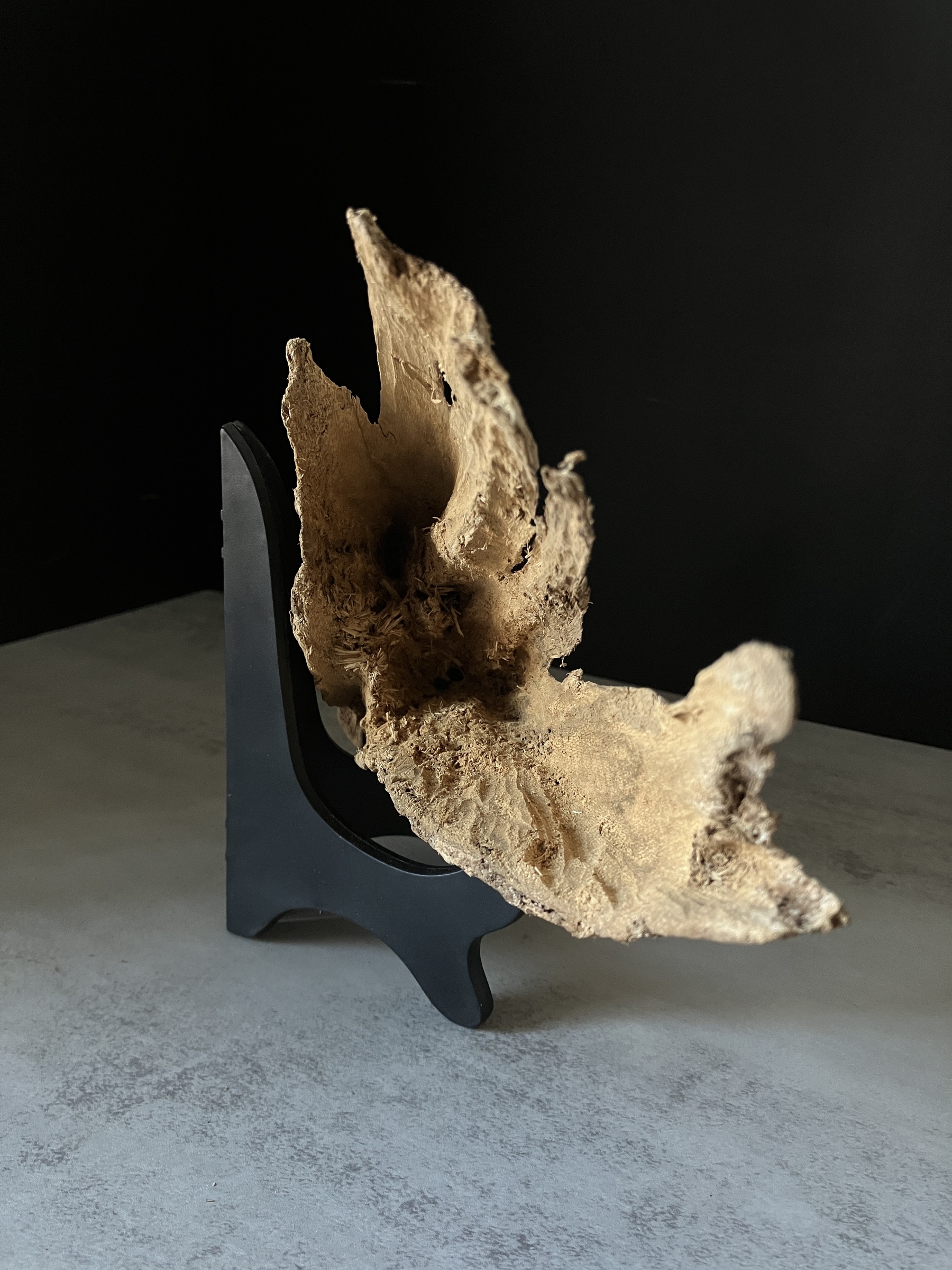 image_7B87C62A-AAA8-4E78-9407-ECD56AA2BCC8_1770103732