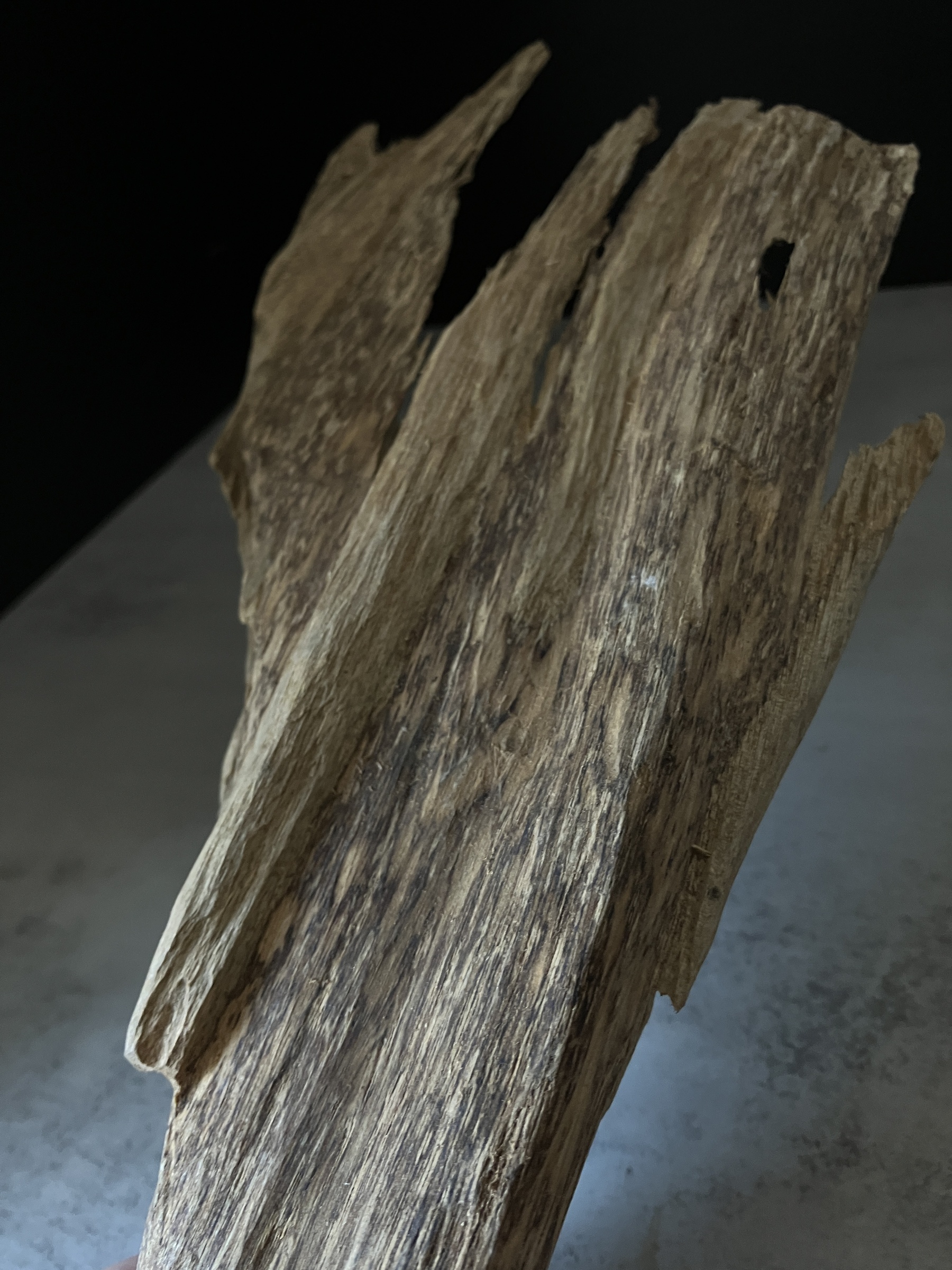 image_9822423C-E32E-4785-89C6-4A0AFE2D3019_1770103732