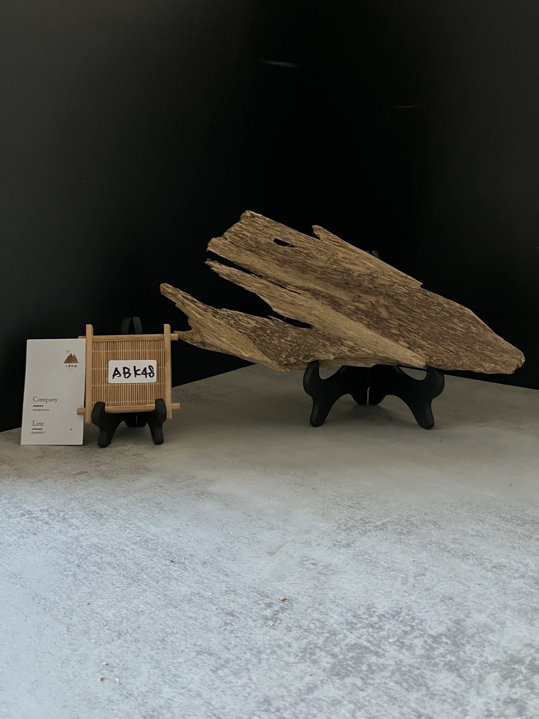 image_1F9E7FD5-9AE5-410F-97F3-5042C1045F31_1770103732