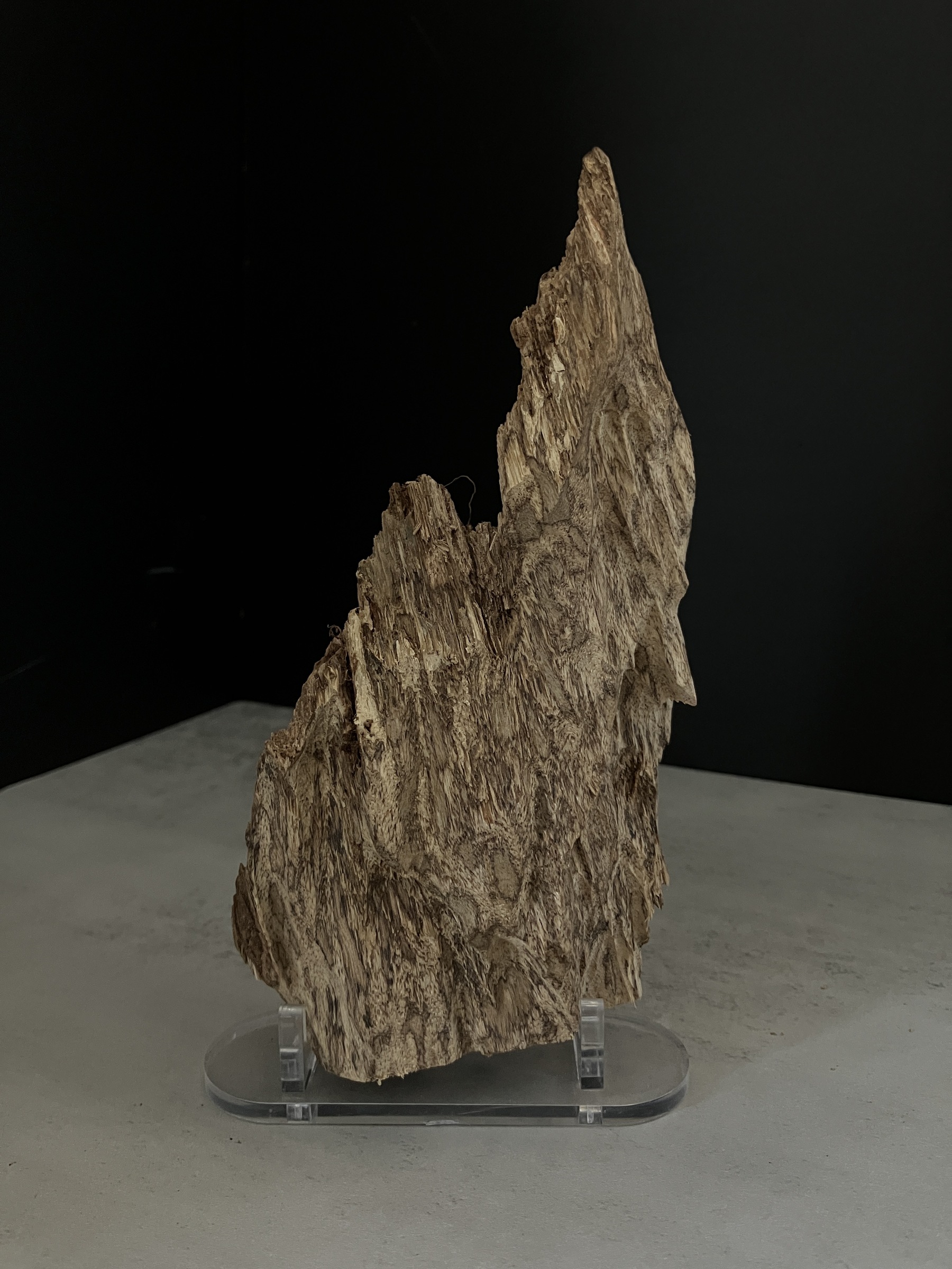 image_9B36DDAE-C525-4340-A964-CEB80D308E27_1770103937