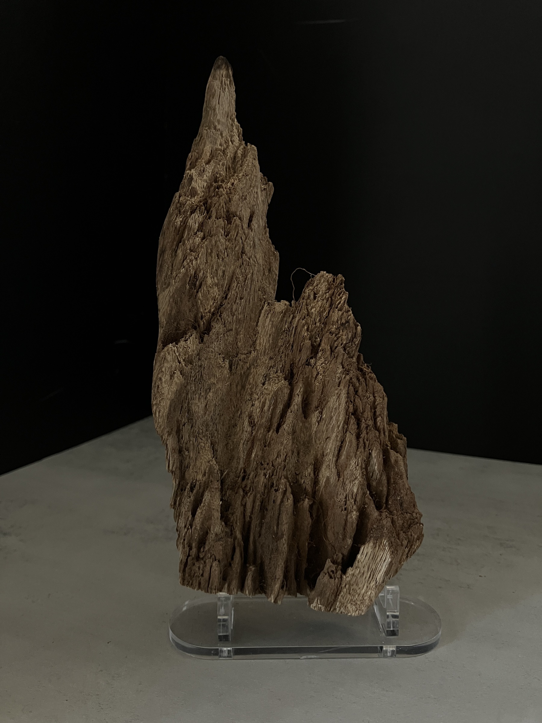 image_9D59DCA0-3118-452F-8204-E76021266151_1770103937