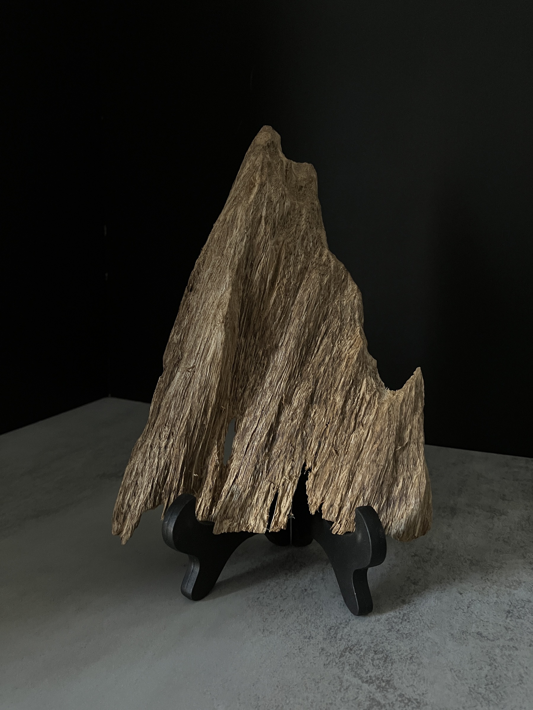 image_3BE8DBFE-653C-4B14-8D63-8CB6DA2D4CC0_1770104097