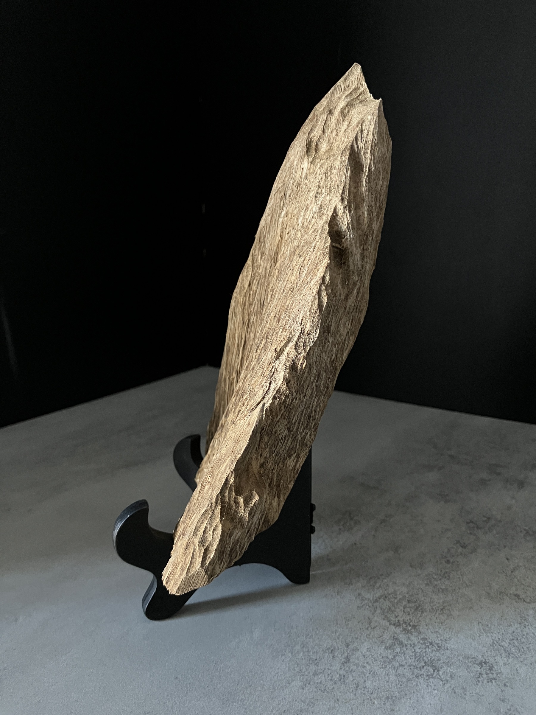 image_1A5F08D9-AED3-46D3-8A80-2B8665E5D096_1770104097