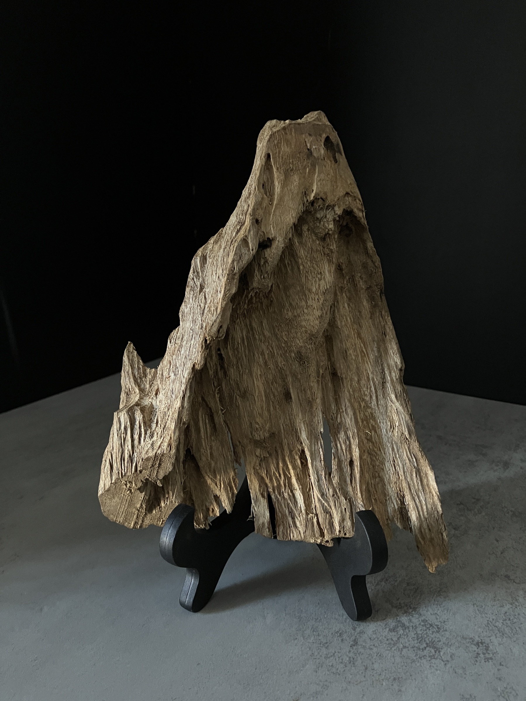 image_DCA1C3E9-B74B-4BFE-9076-FB25C2634F42_1770104097