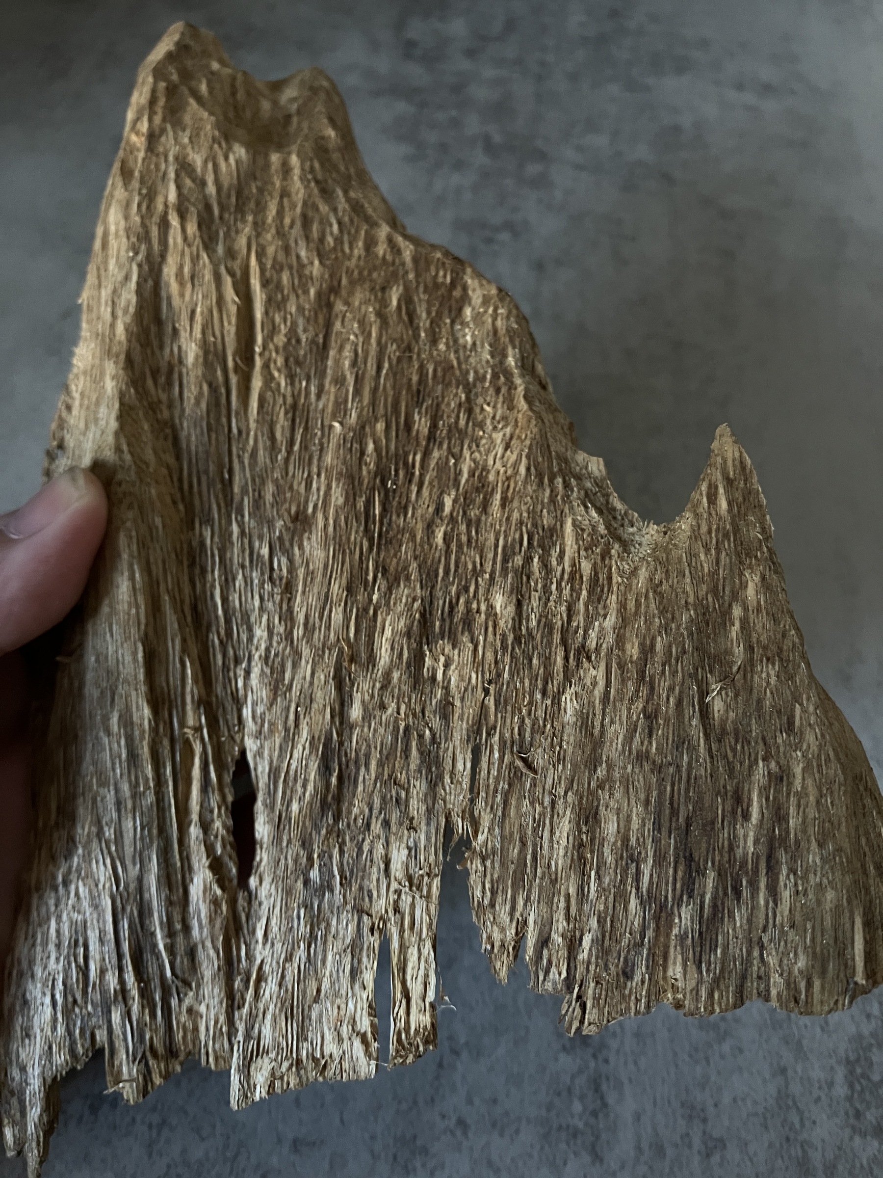 image_35BE8B5A-57DF-4B54-B57B-6F93CE005349_1770104097