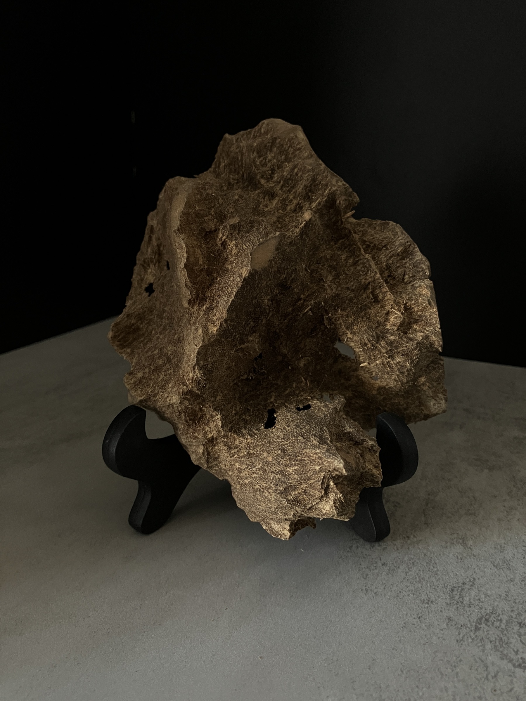 image_93615EBD-0861-444C-8DCF-686C6C7CAA33_1770104198