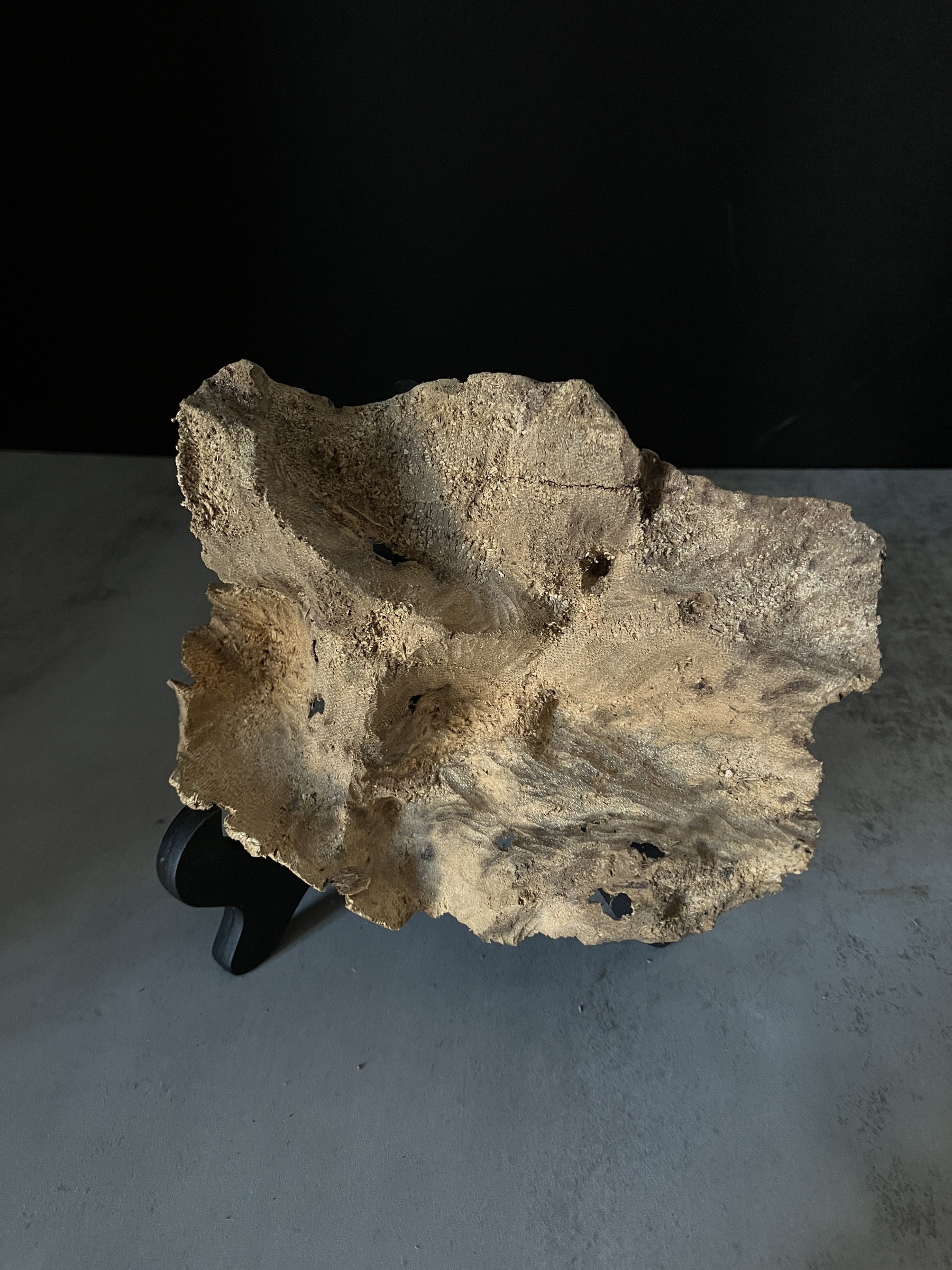 image_36B2D803-49CF-41CD-80FE-C6A2DC7249D4_1770104198