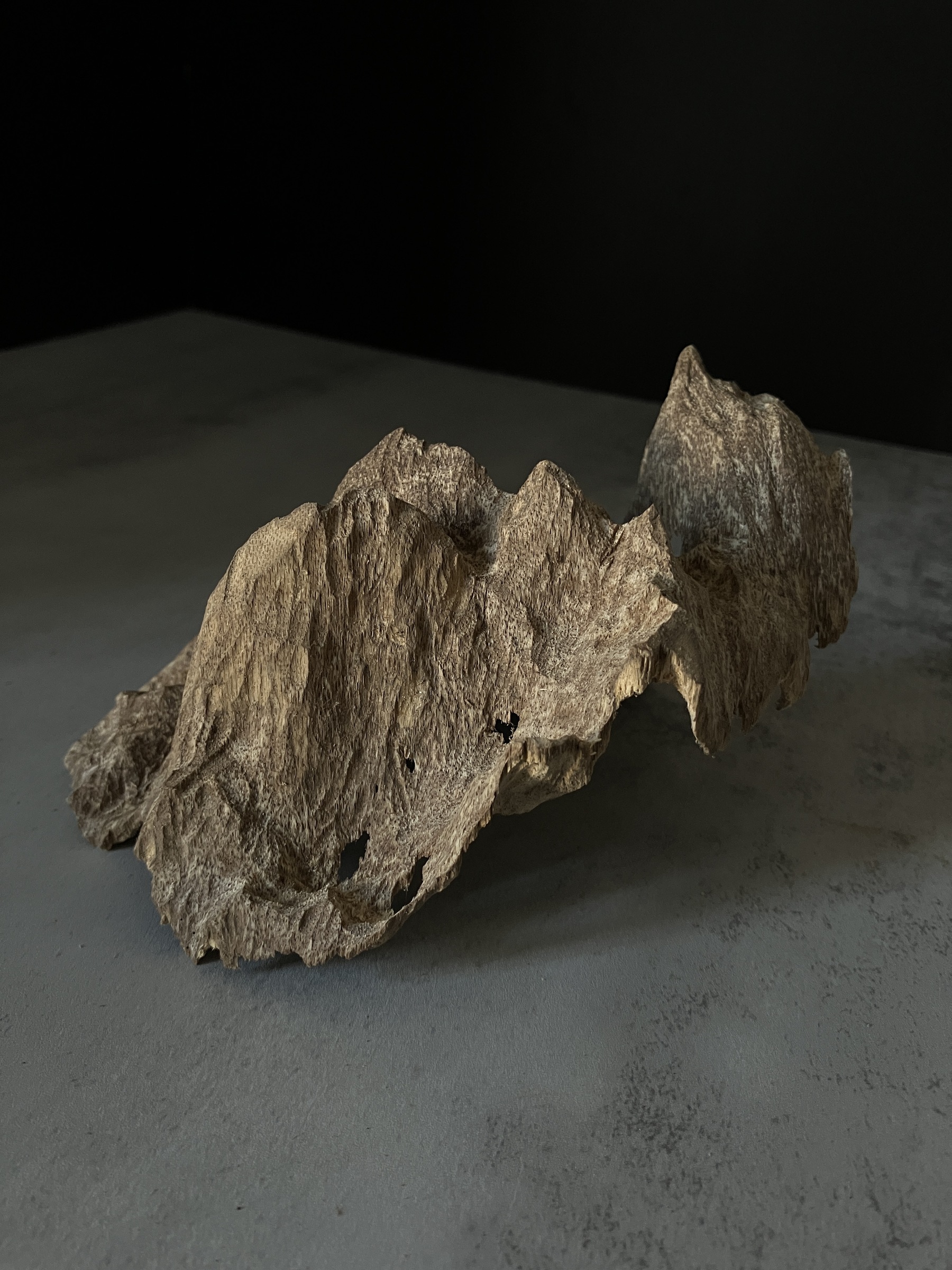 image_1B3EA63C-729C-40F7-8080-25984D6402FB_1770104198