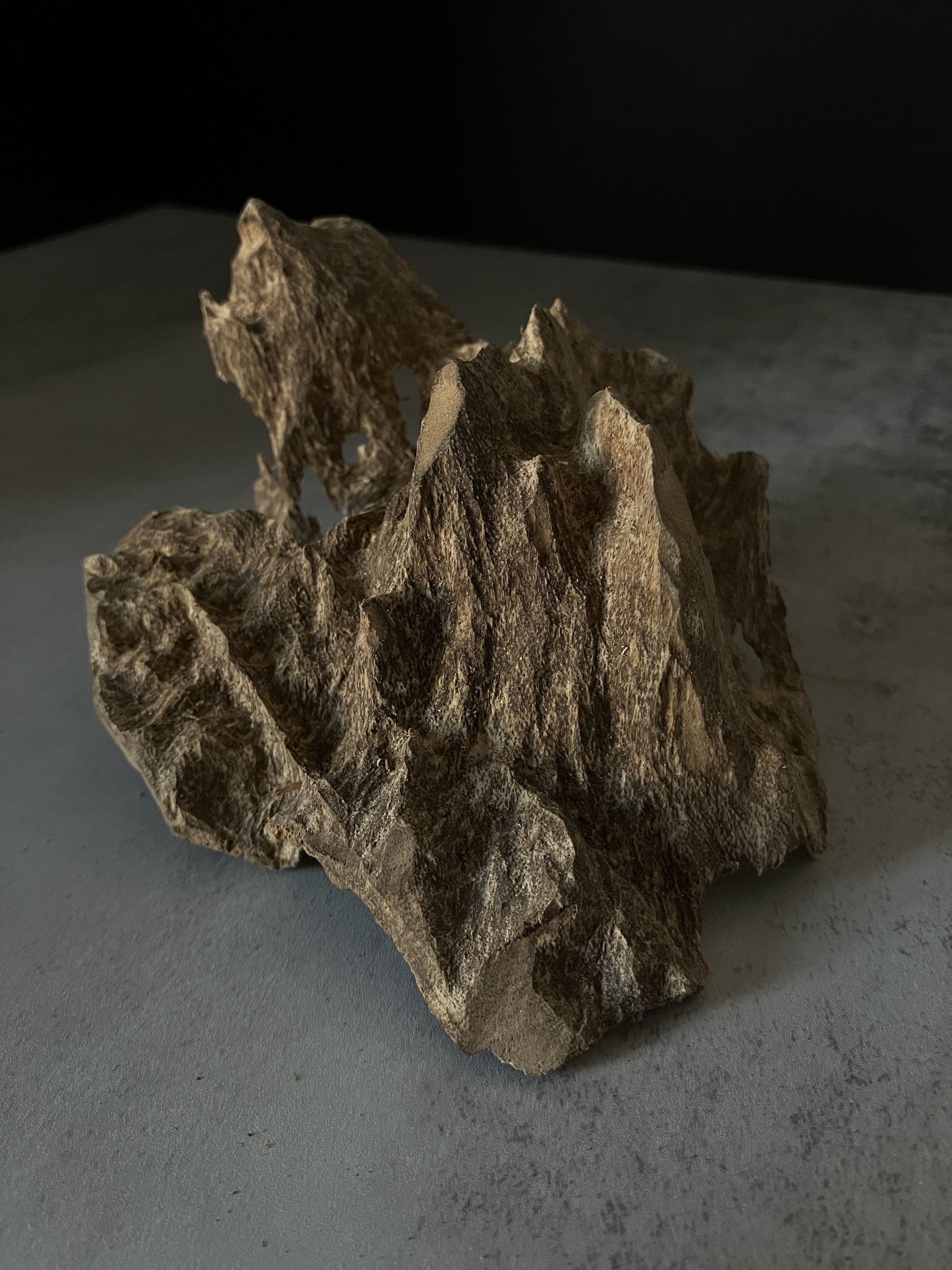 image_DF4B9027-029D-47D3-A39E-CF3D1010D3C4_1770104198