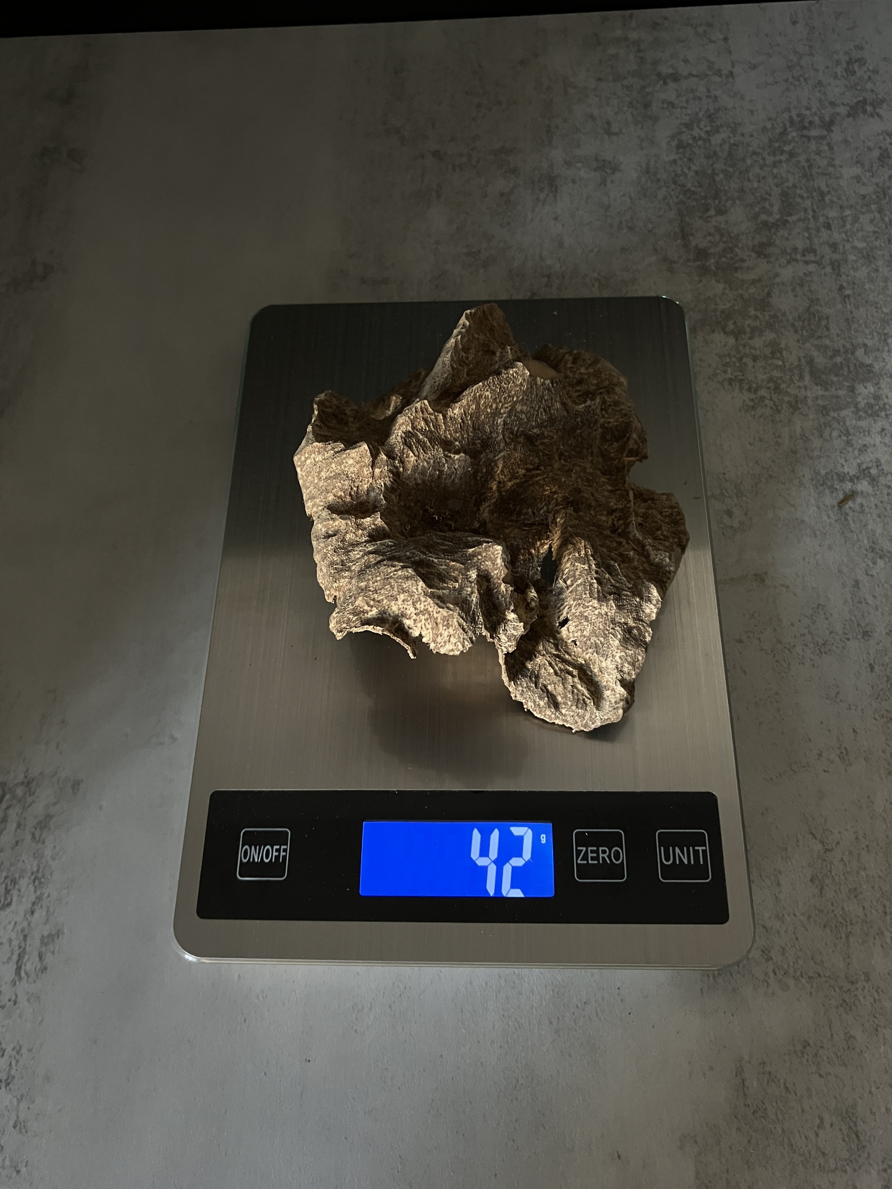 image_16A2AF56-8BDE-4039-9236-E3CB21C7B425_1770104198