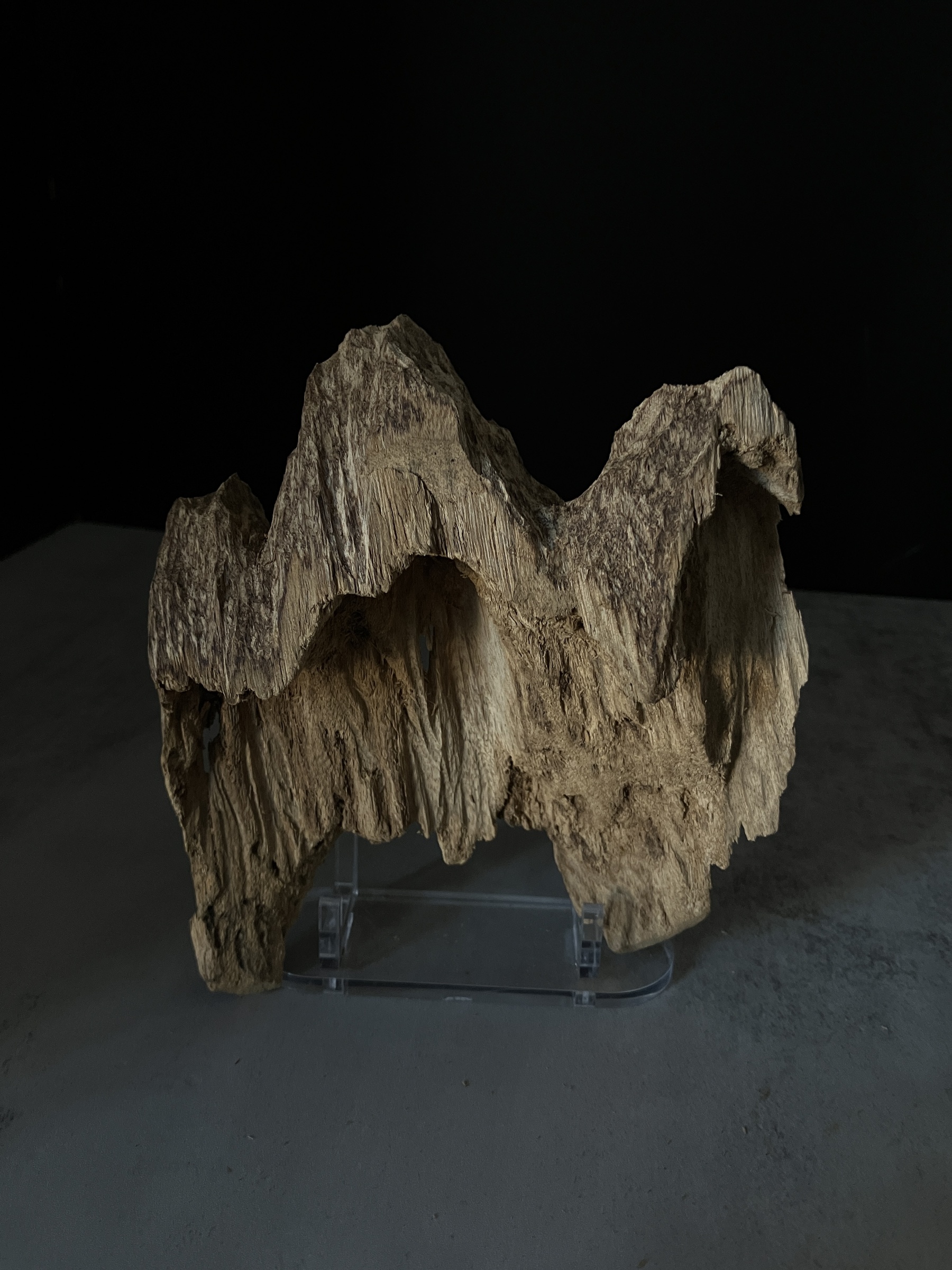 image_21DE4D43-88D2-412E-9C37-62F430F5E89F_1770104355