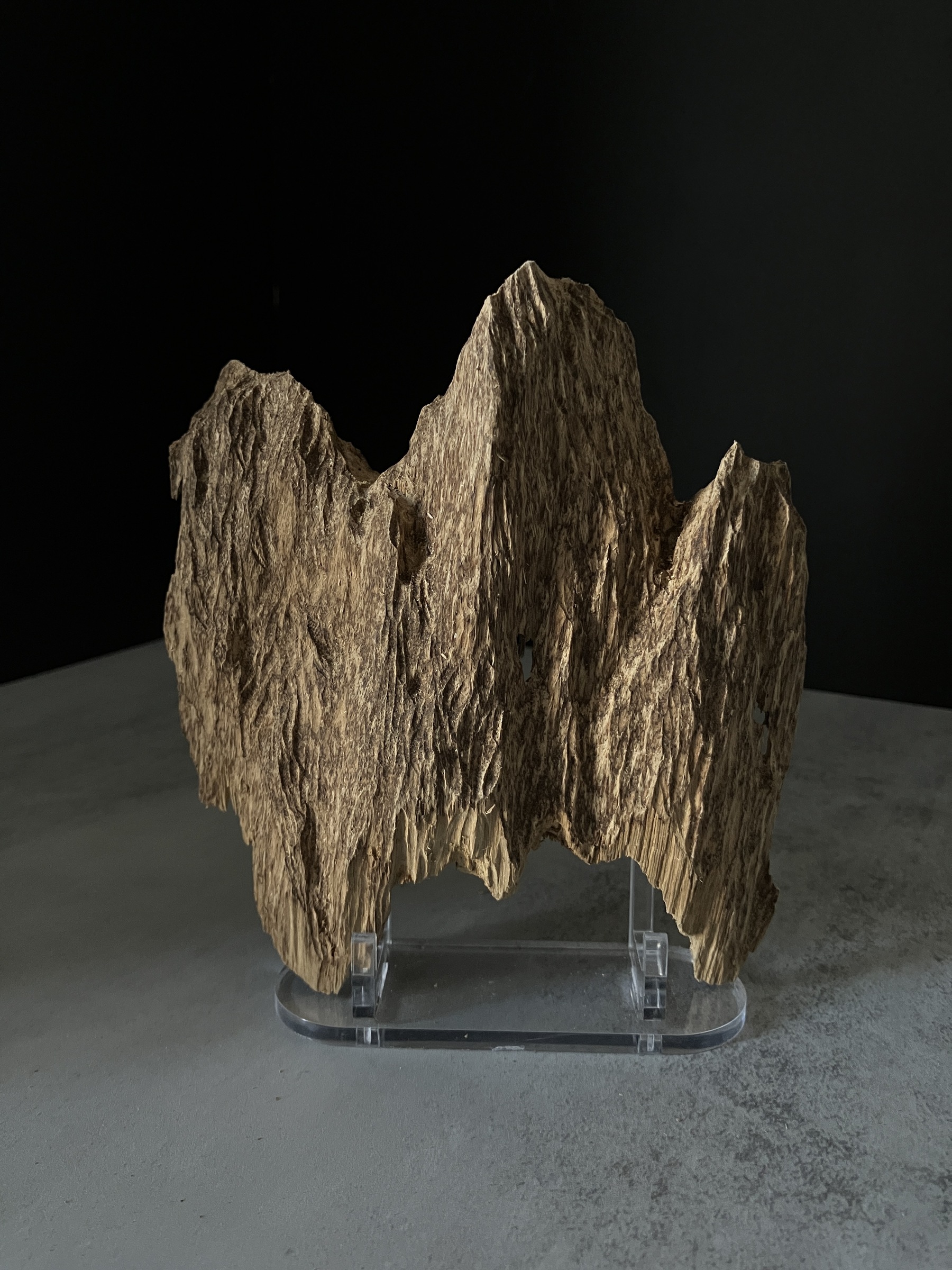 image_06DF710D-A036-4716-B06C-D83571936423_1770104355