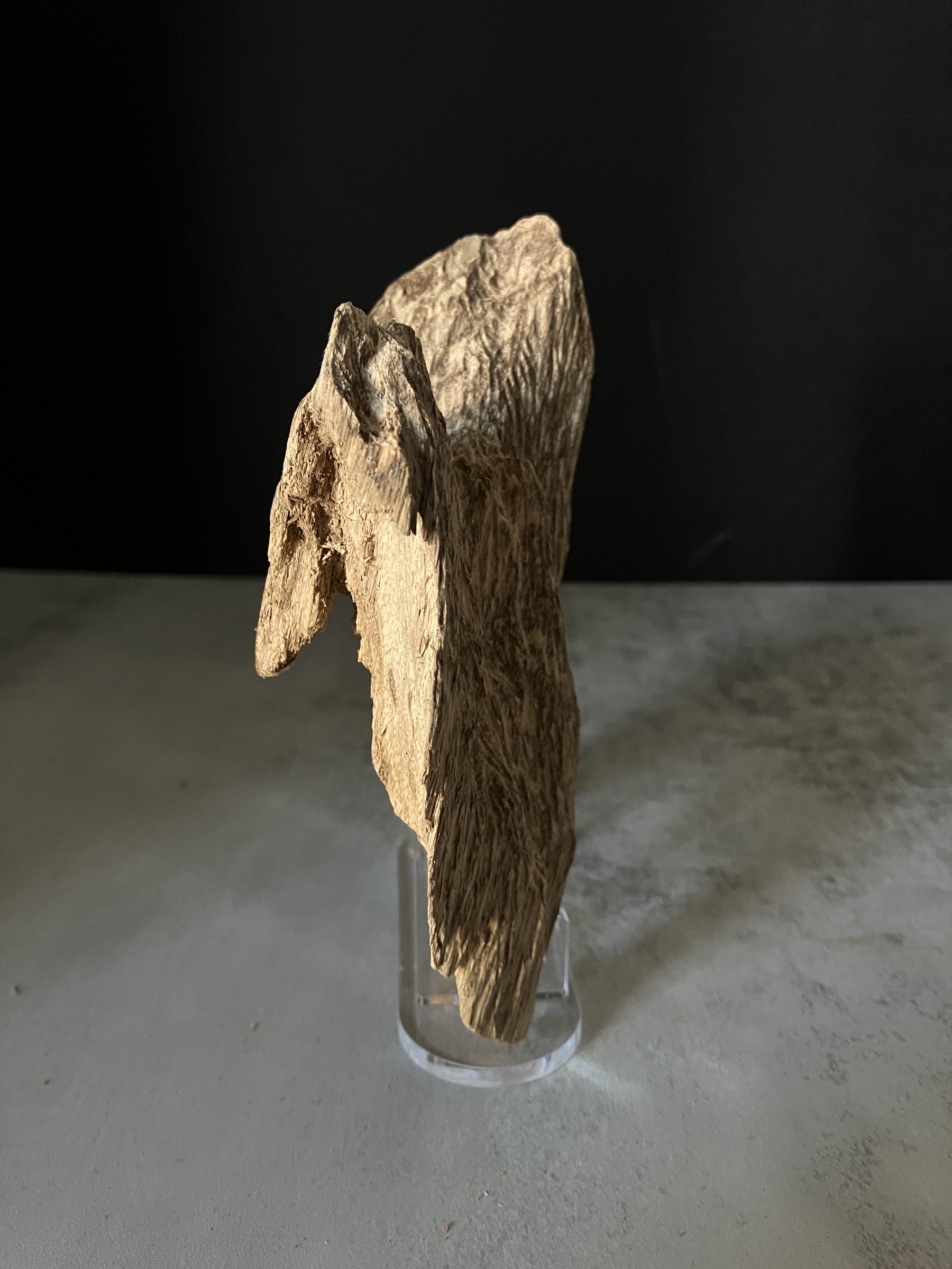 image_62C232EF-CF8E-4507-B40D-07E4C02652C1_1770104355