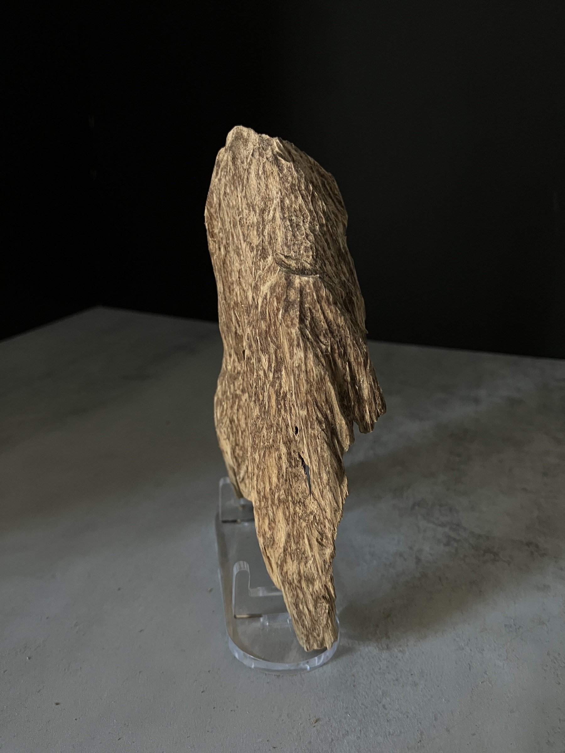 image_76CF0840-4460-4D8A-B4DA-B534357C09F4_1770104355