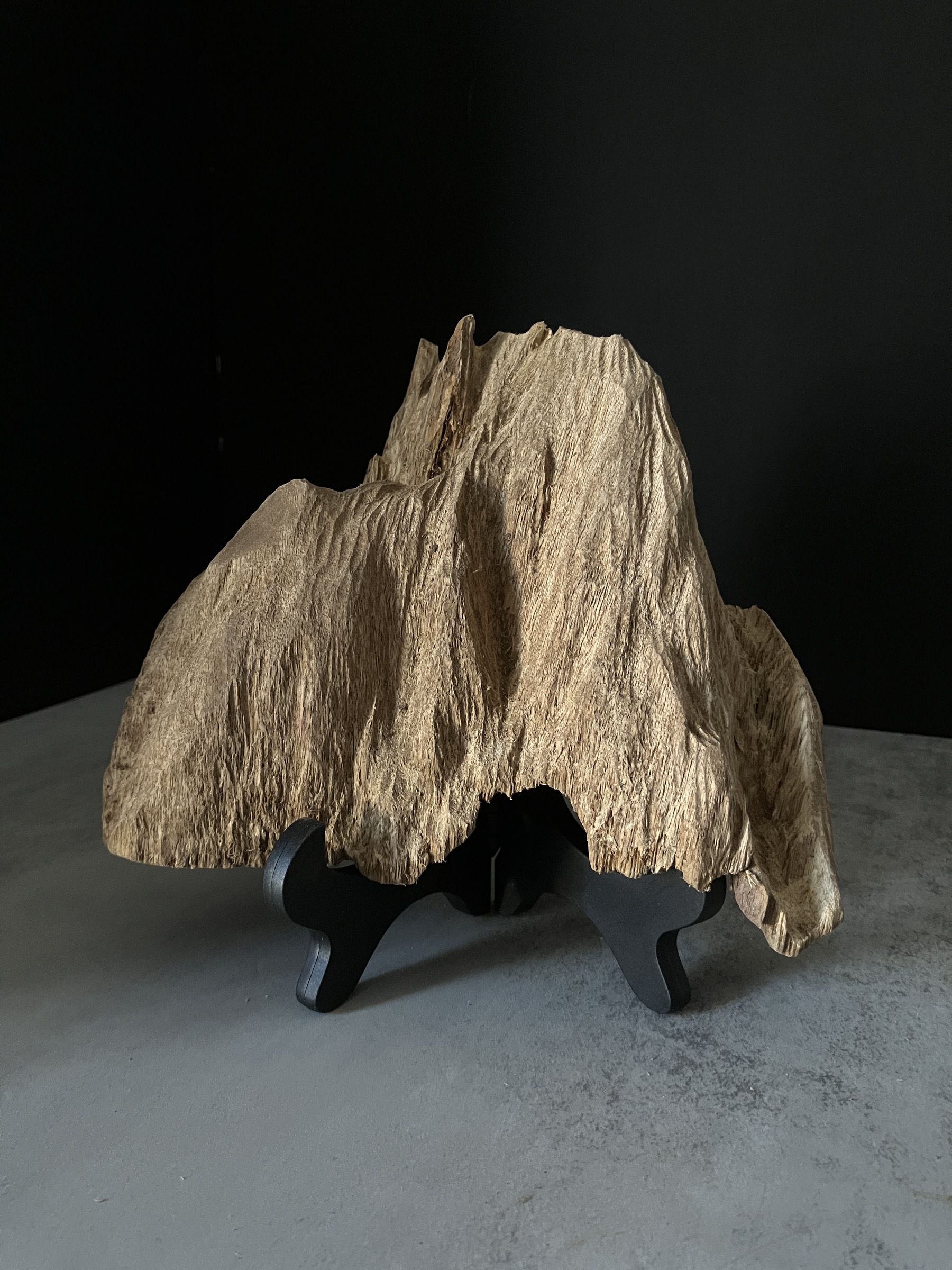 image_D2E3520B-50B3-4742-B199-AD3F09F0FDF3_1770104485